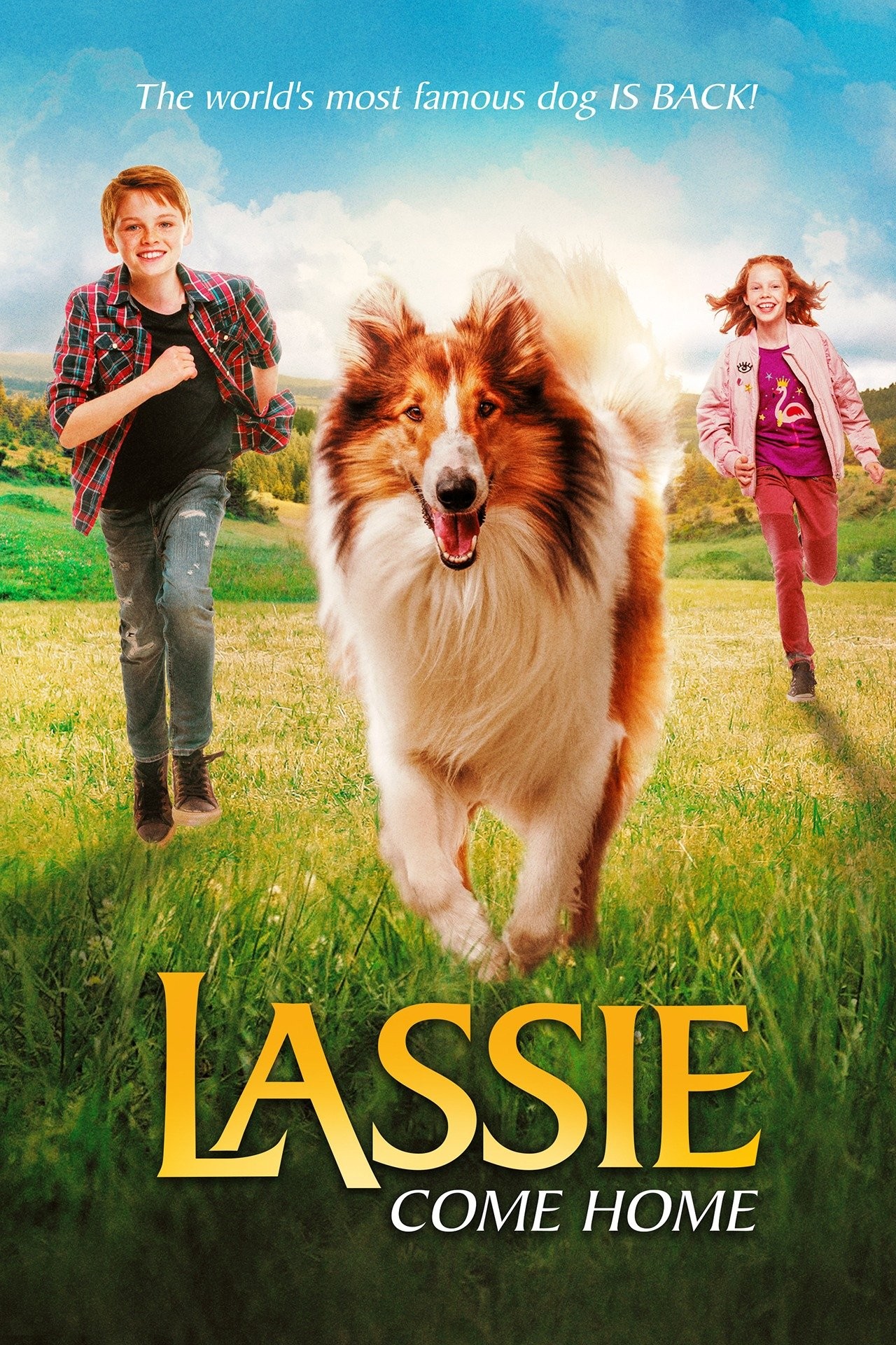 Lassie Come Home  Canine Chronicle