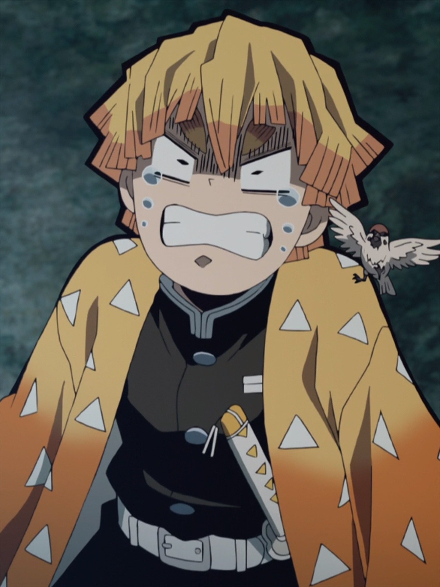 Watch Demon Slayer: Kimetsu no Yaiba Season 1 Episode 17 - You