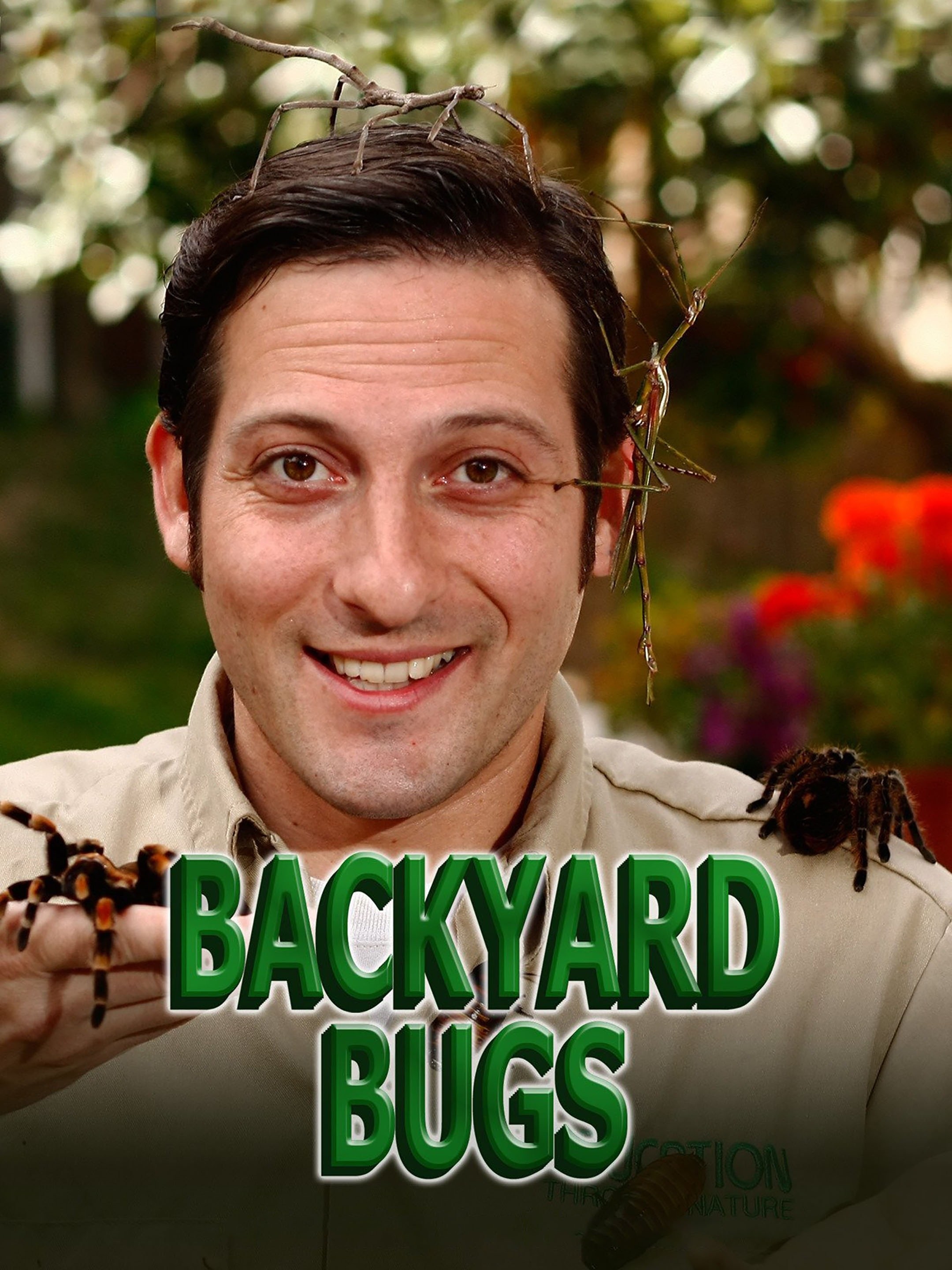 Backyard Bugs | Rotten Tomatoes