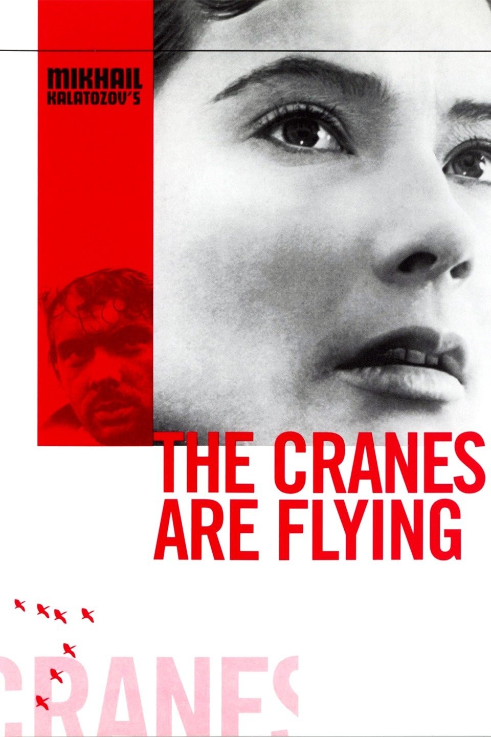 The Cranes Are Flying Rotten Tomatoes