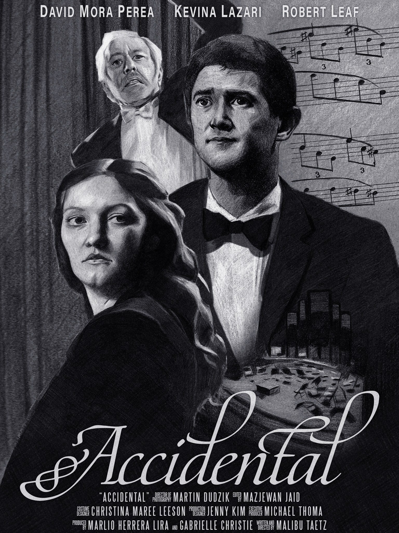 Accidental Pictures Rotten Tomatoes