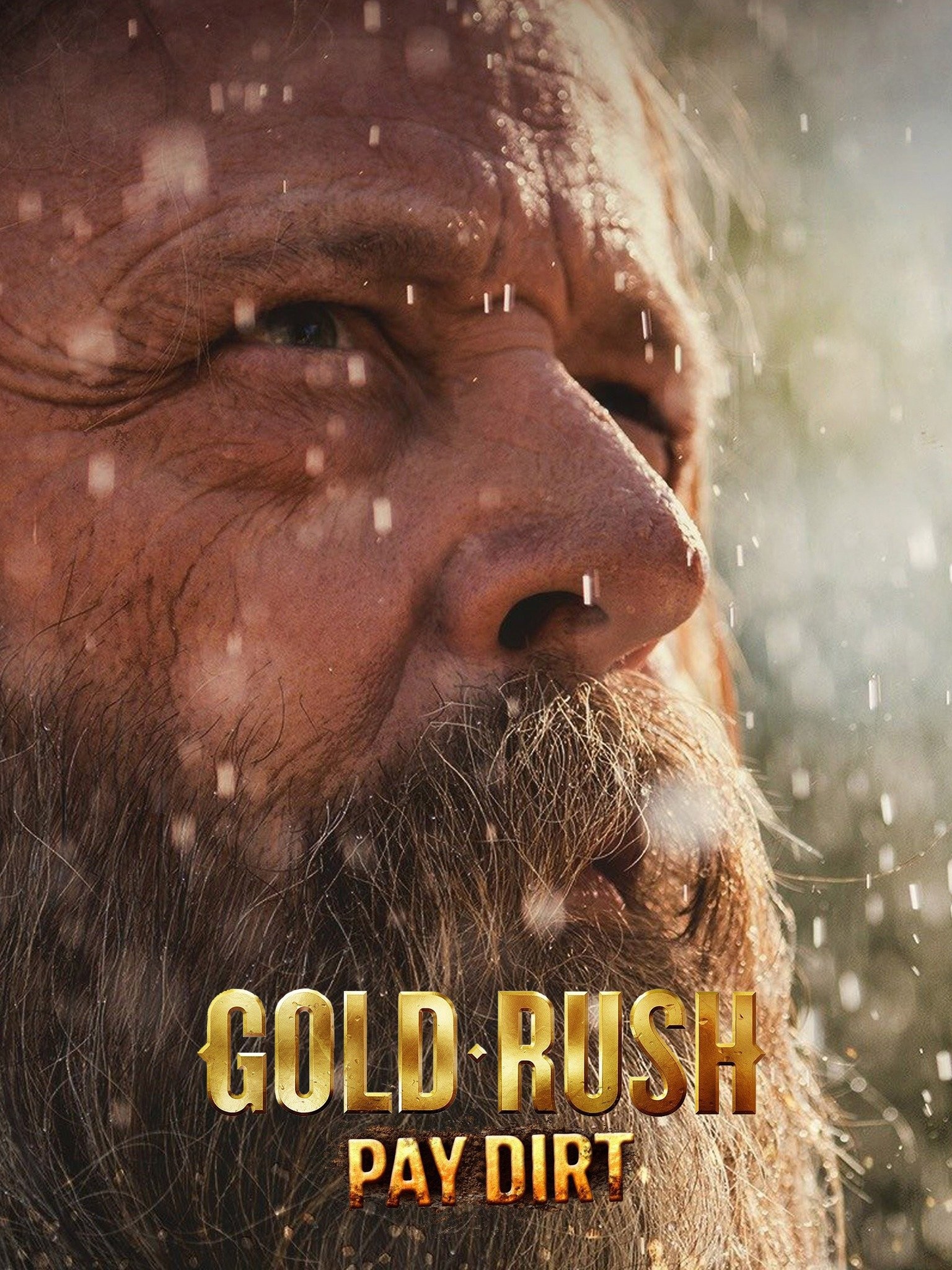 Gold Rush: Pay Dirt - Rotten Tomatoes
