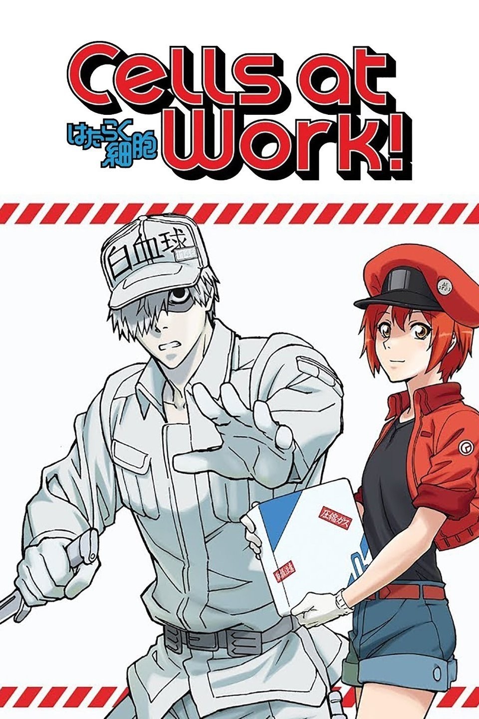 Cells at Work! 2 terminou com 8 episódios