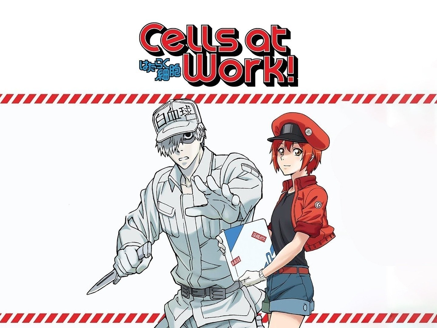 100+] Cells At Work Ae3803 Wallpapers