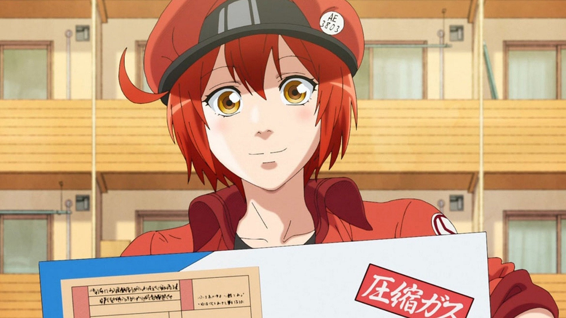 Cells at Work! TV Review