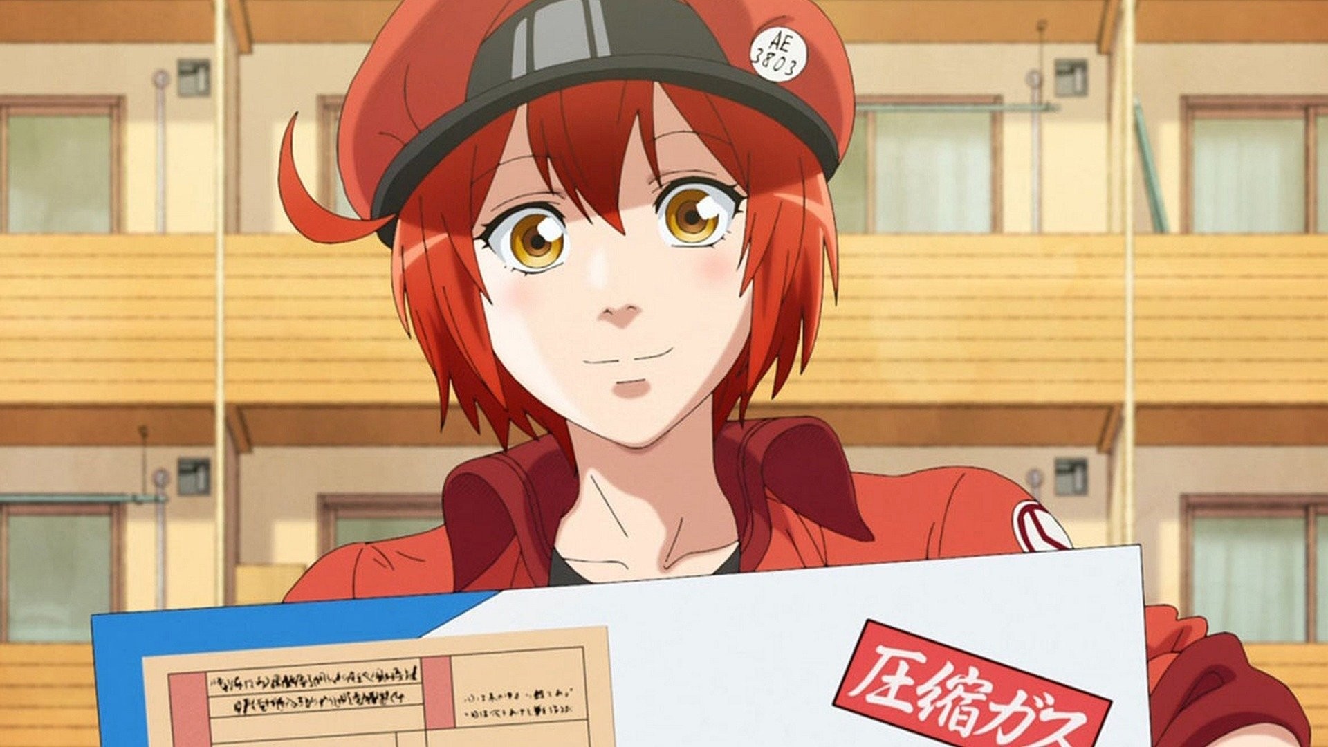 Cells at Work!: Season 1, Episode 1 - Rotten Tomatoes