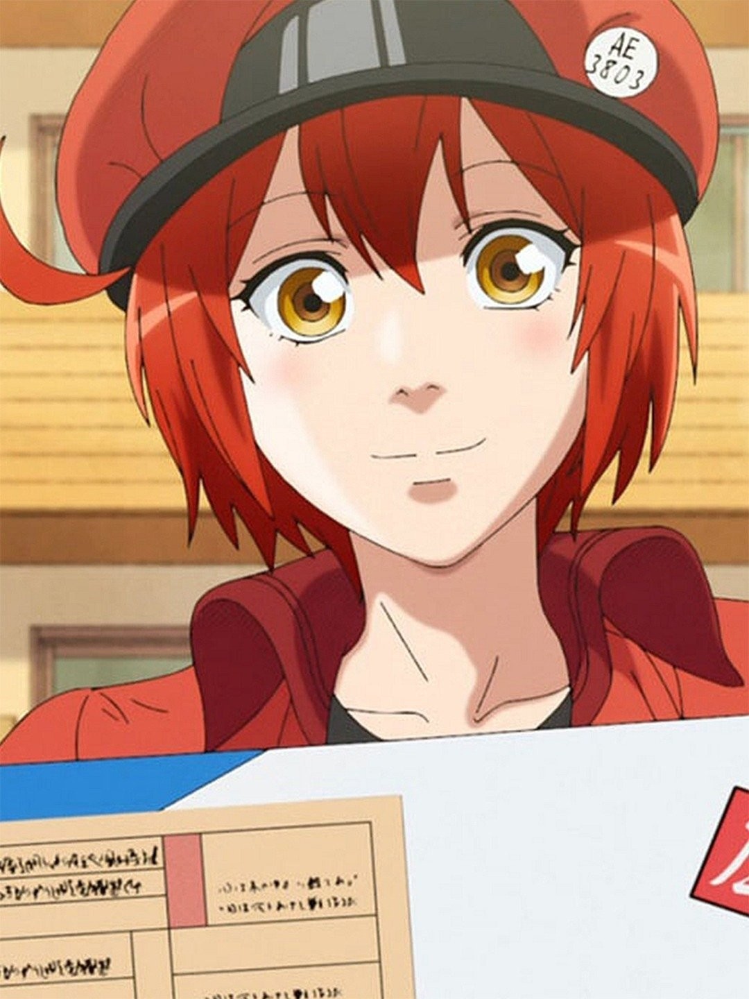 Cells at Work!: Season 1, Episode 1 - Rotten Tomatoes