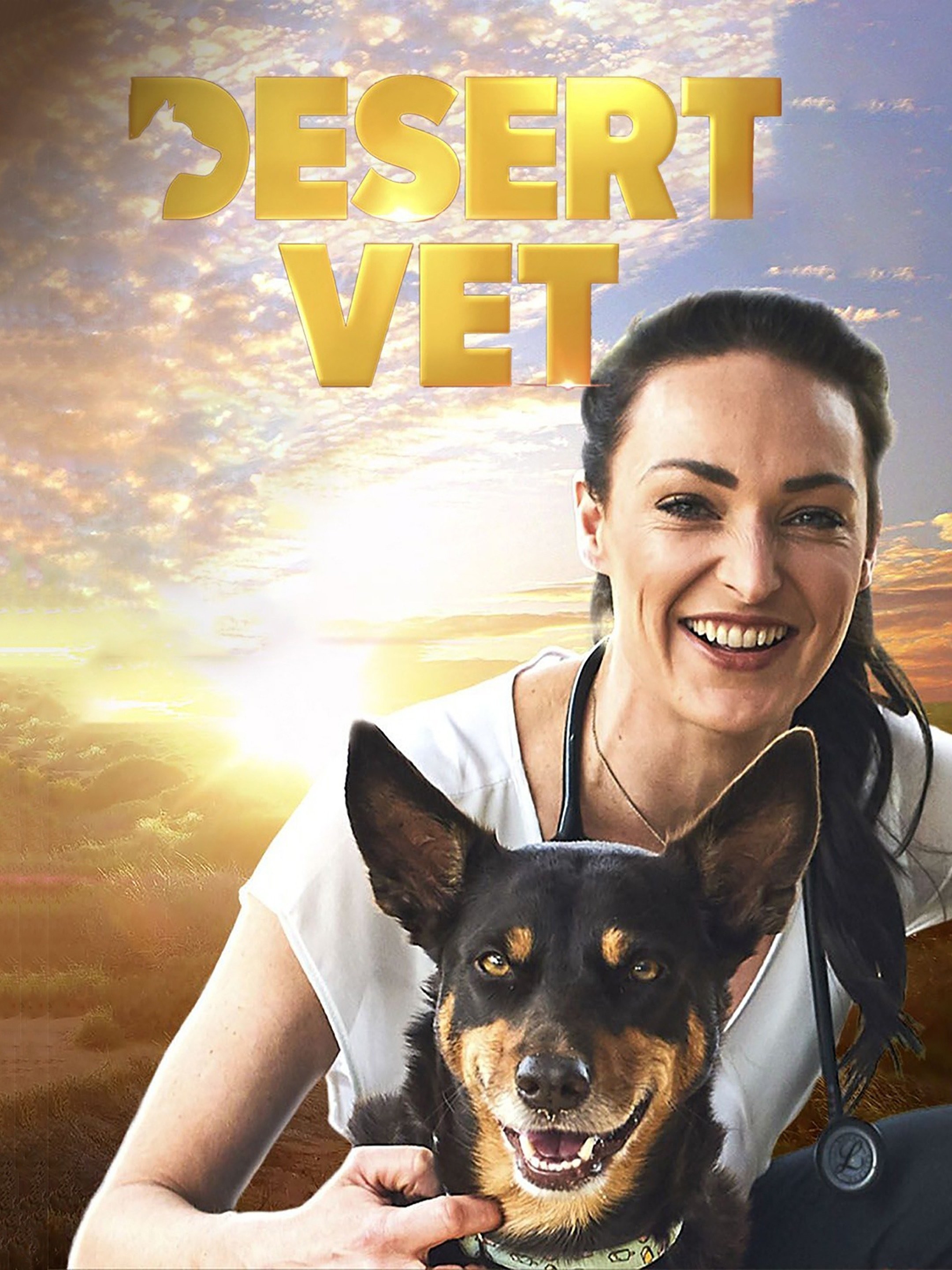 desert-vet-season-1-rotten-tomatoes