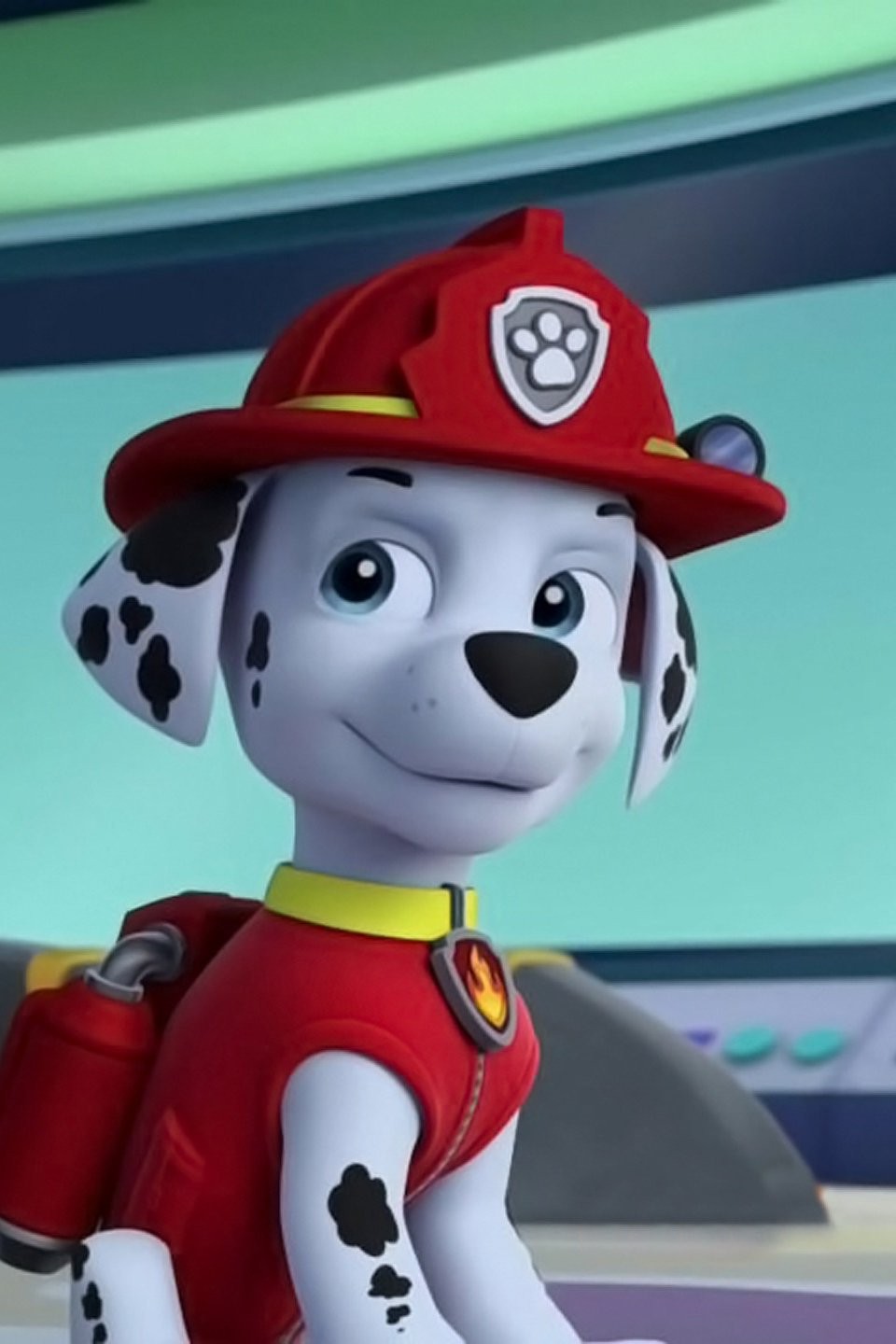 Paw patrol marshall store gallery