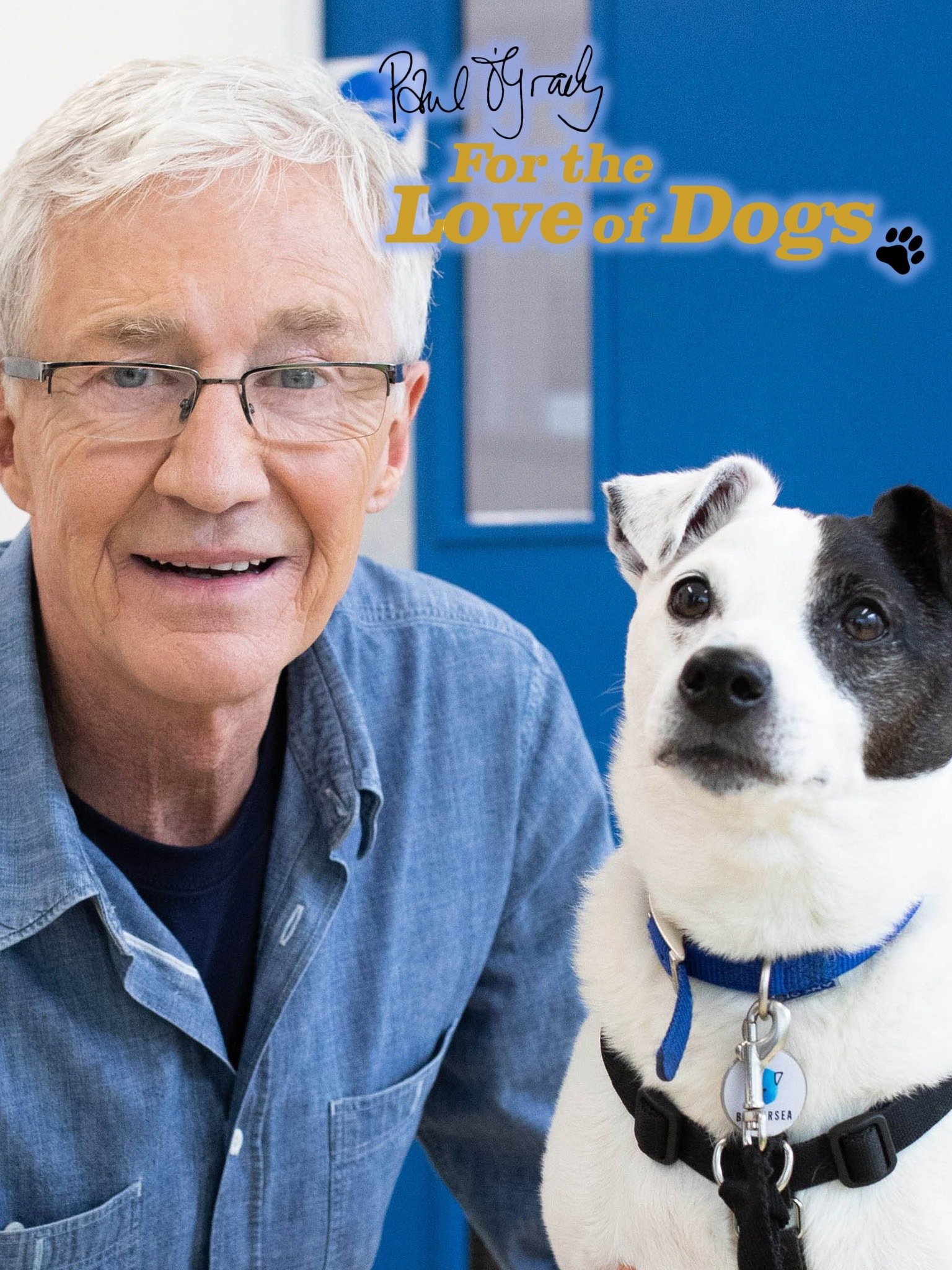 Paul O'Grady: For the Love of Dogs: Season 8 Pictures | Rotten Tomatoes