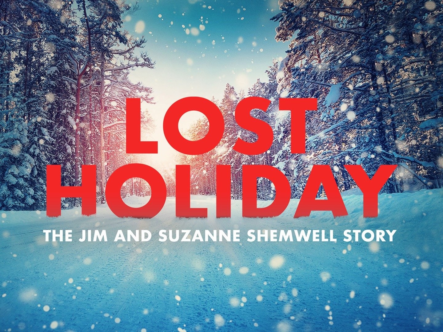 Its a Wonderful Movie - Your Guide to Family and Christmas Movies on TV: Lost  Holiday: The Jim and Suzanne Shemwell Story