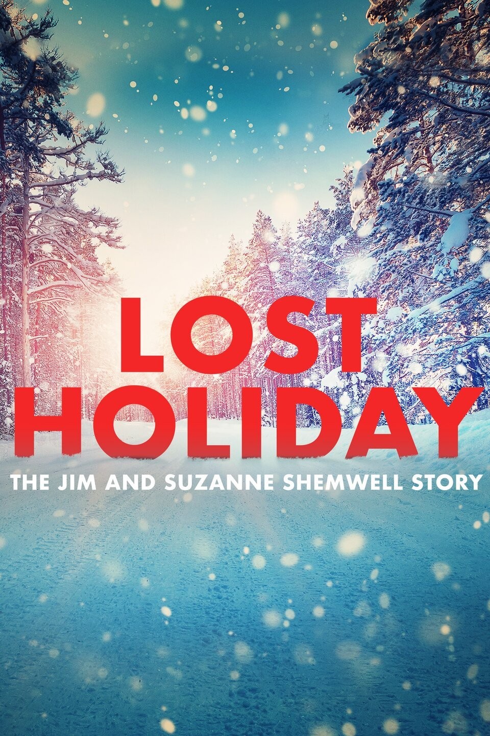 Its a Wonderful Movie - Your Guide to Family and Christmas Movies on TV: Lost  Holiday: The Jim and Suzanne Shemwell Story