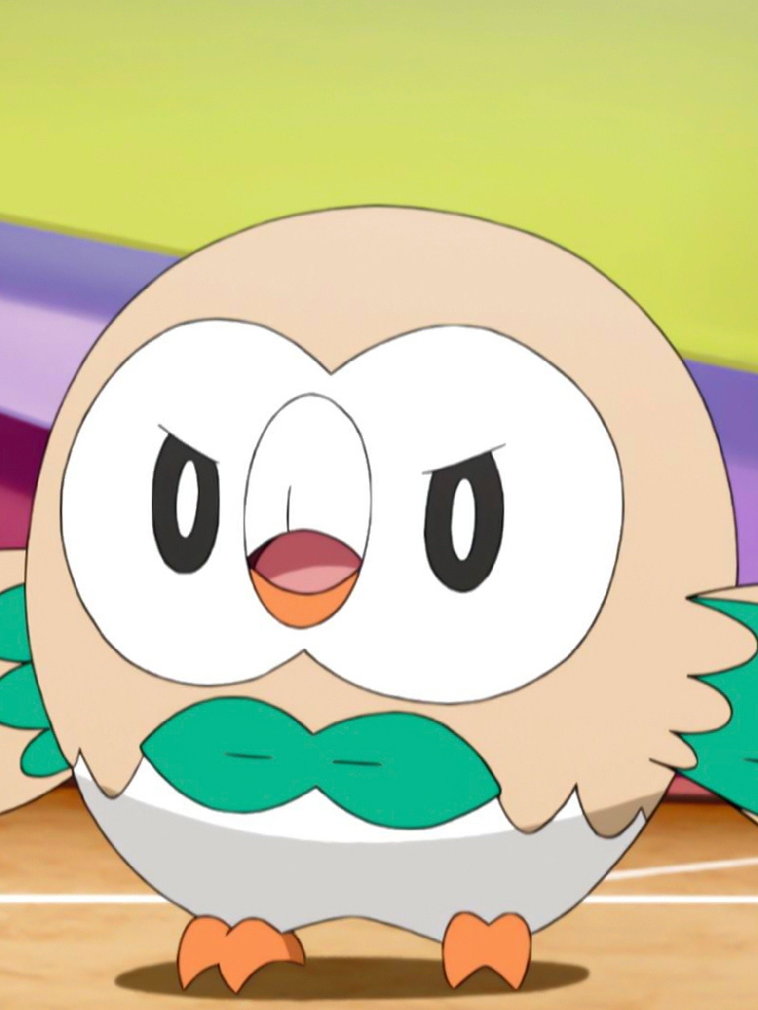 Download Ash Rowlet Alola Pokemon Sleeping Wallpaper