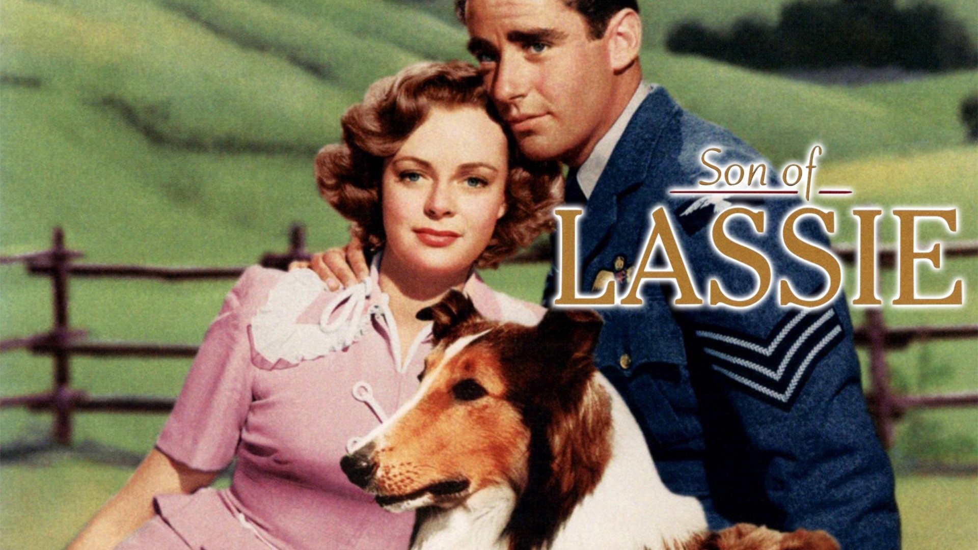 Son of Lassie Review