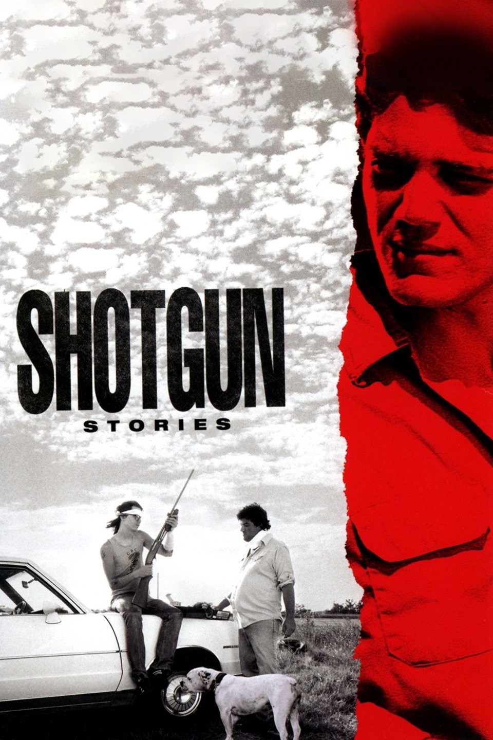 Shotgun Stories | Rotten Tomatoes