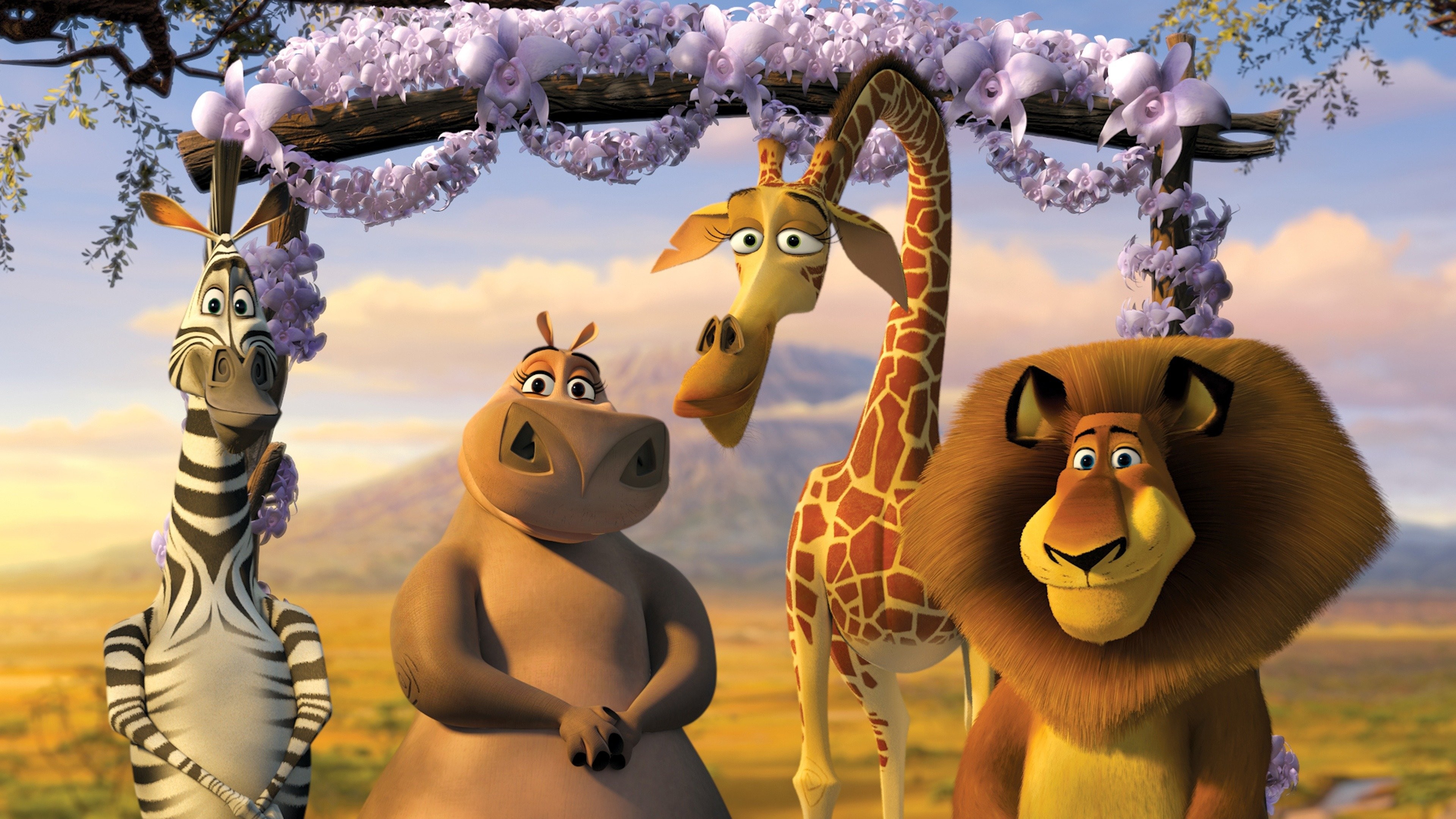 Should Gloria choose Moto Moto or Melman? - Madagascar 2 