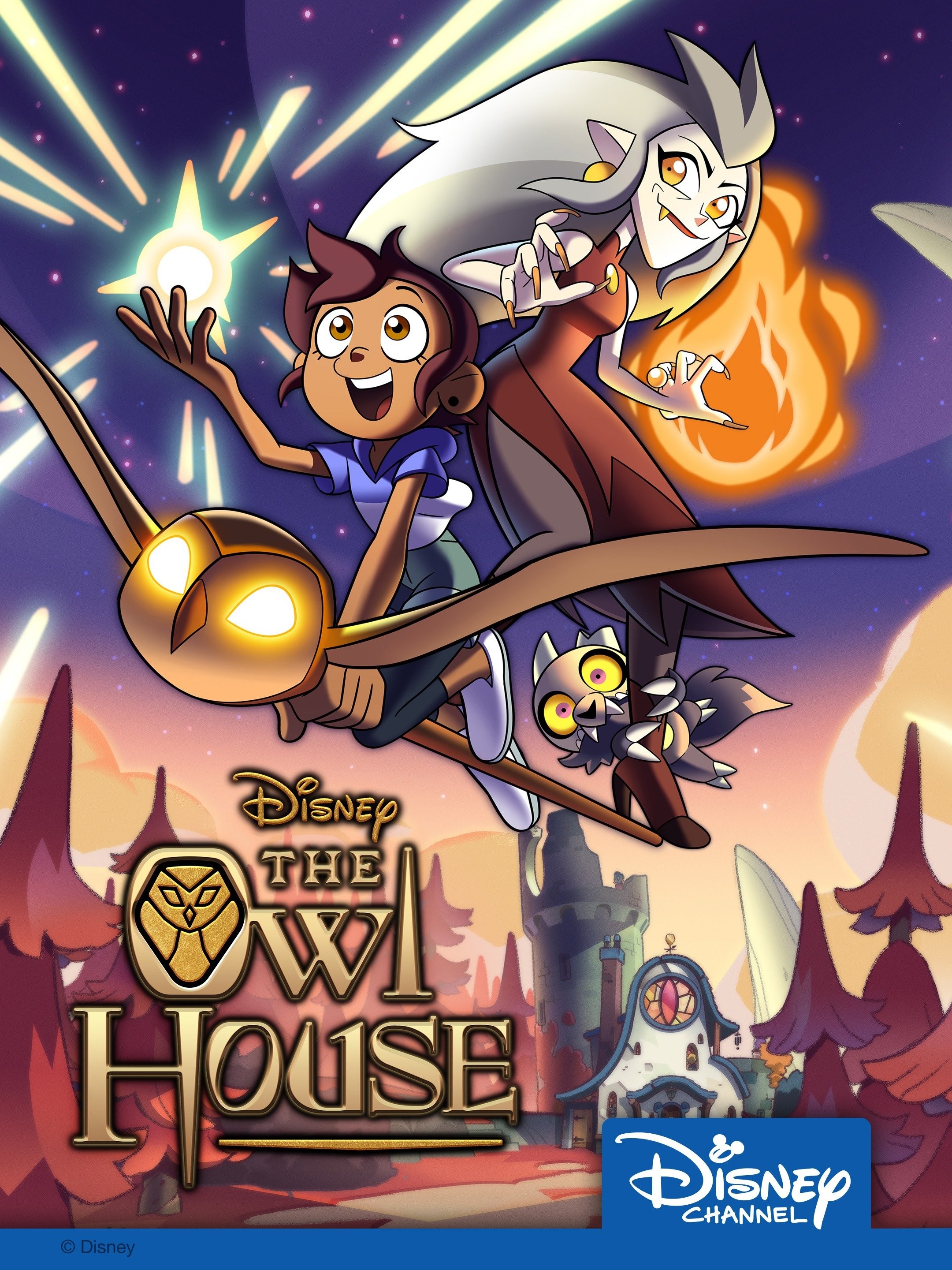 The Owl Club on Twitter  Owl house, Owl, Disney shows