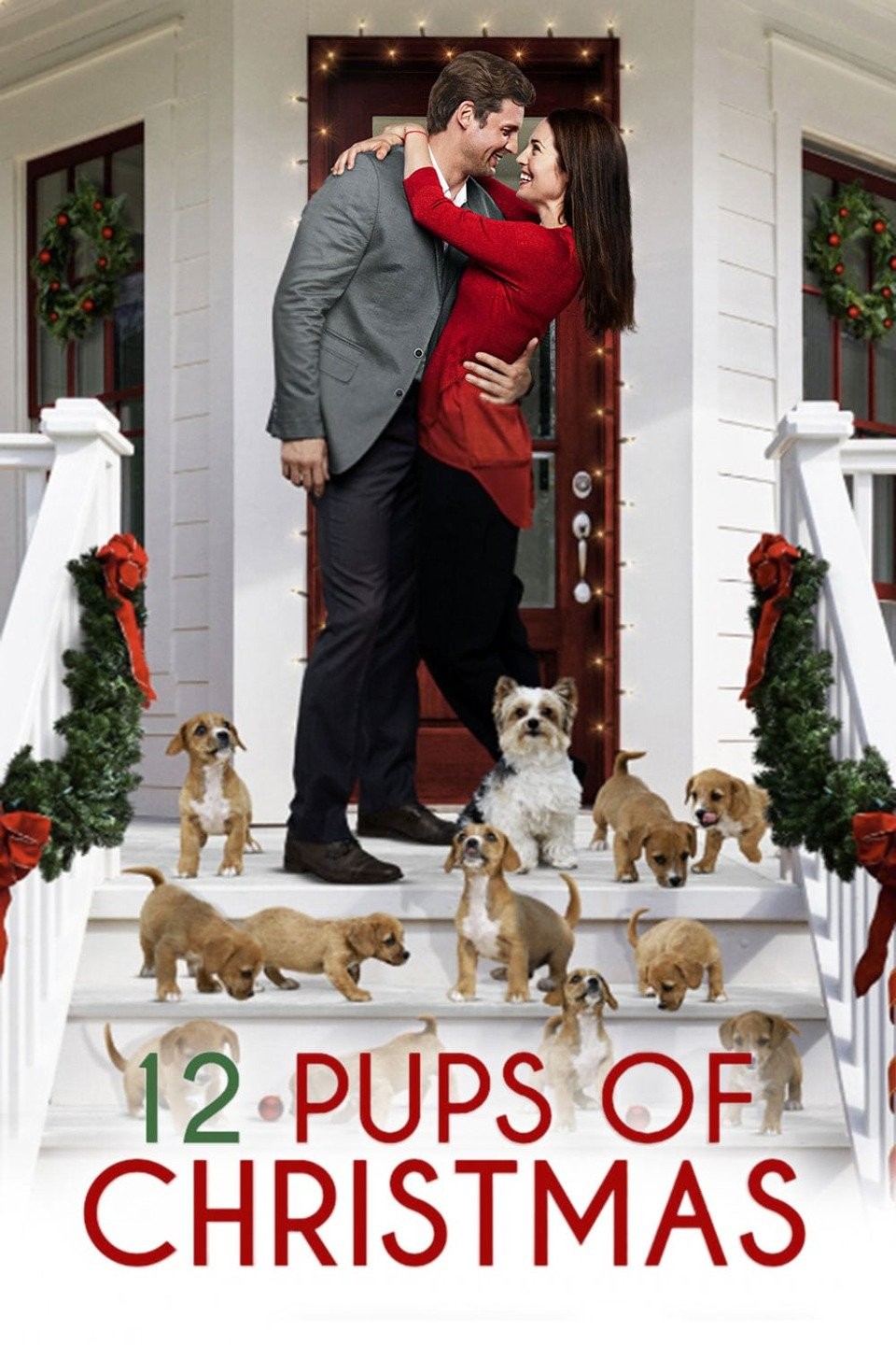 12 Pups of Christmas Pictures | Rotten Tomatoes