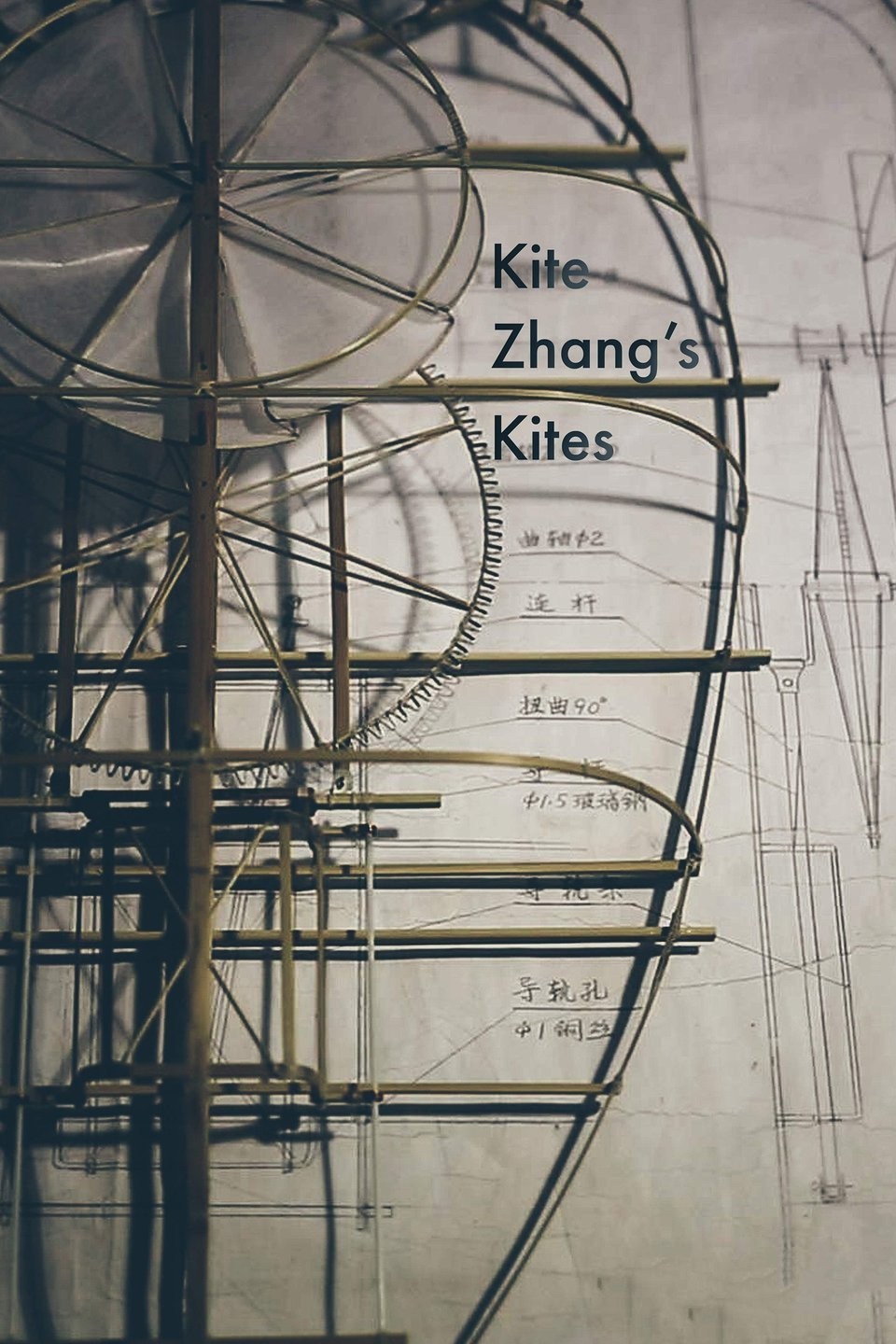 Kite Zhang's Kites Rotten Tomatoes