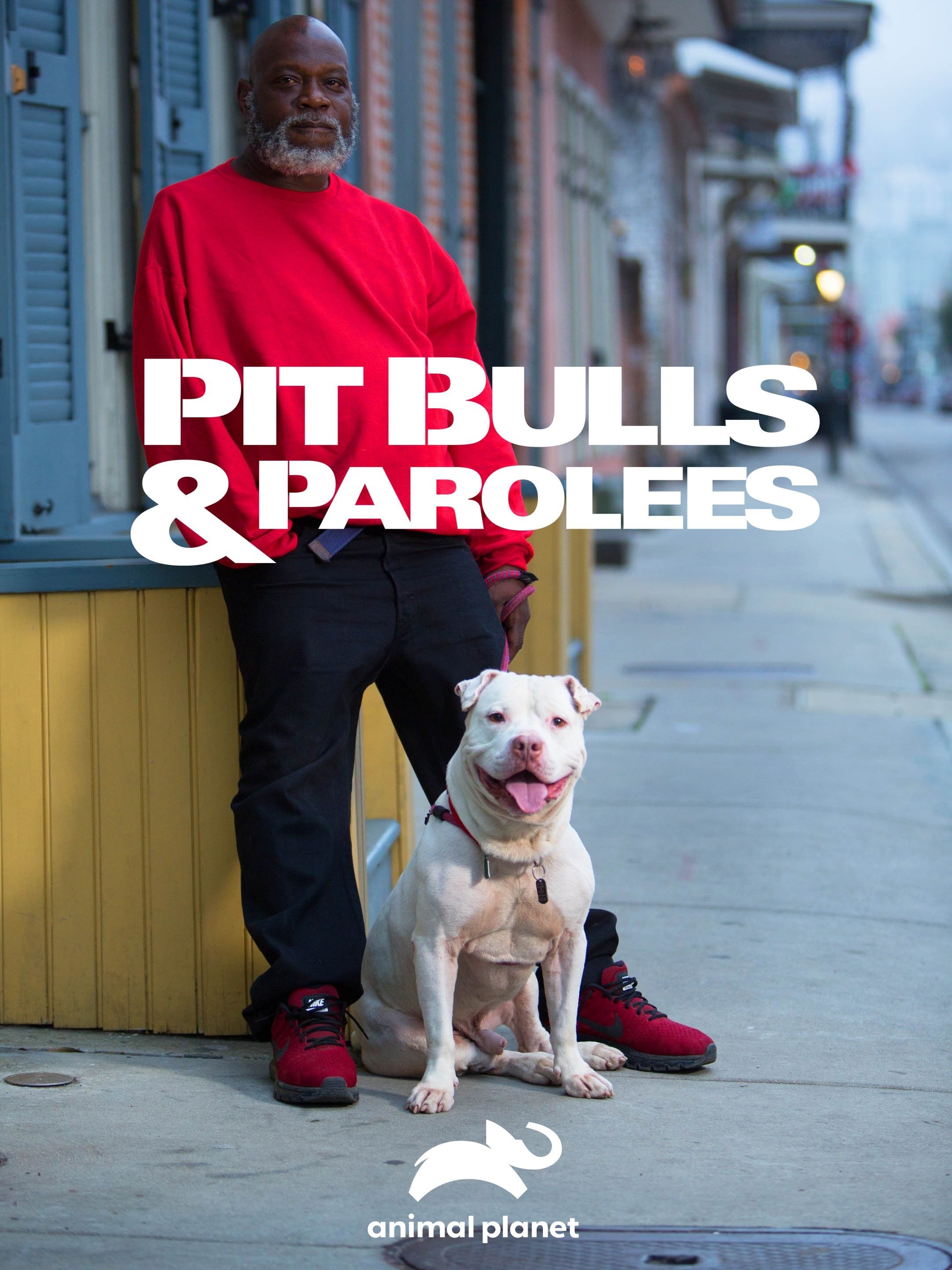 Pit Bulls and Parolees Season 11 | Rotten Tomatoes