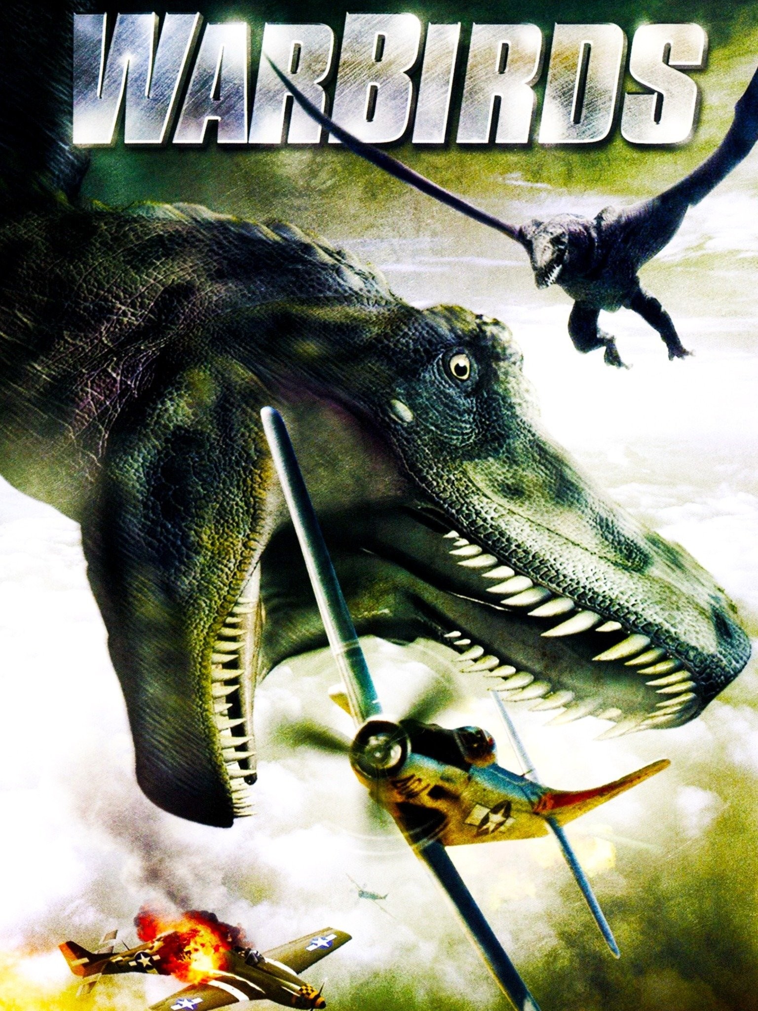 Warbirds (2008) | Rotten Tomatoes