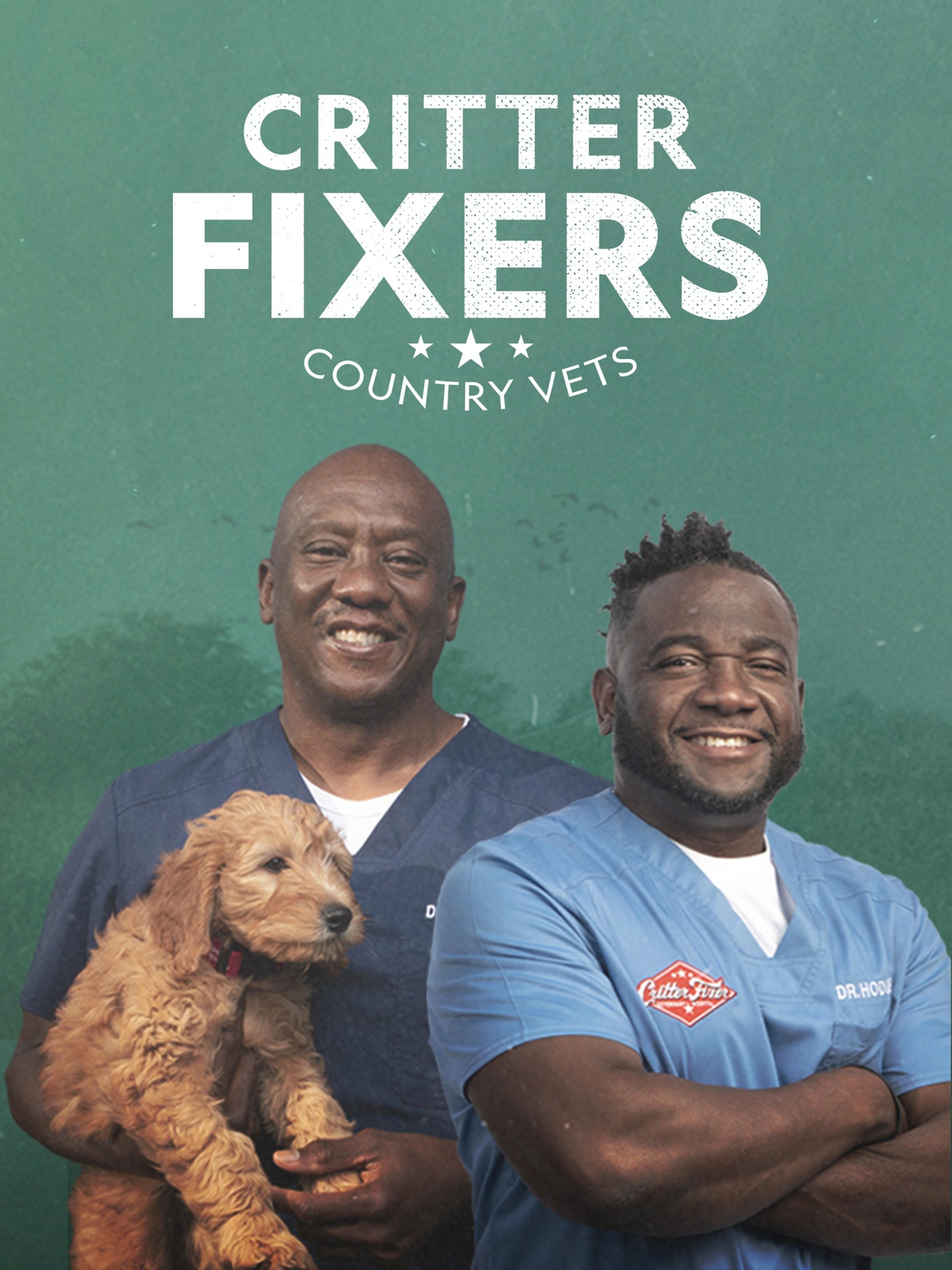 A Ruff Day Pictures | Rotten Tomatoes