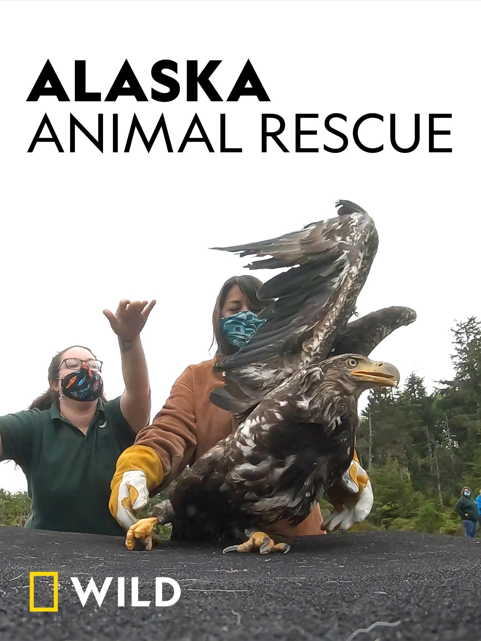 Alaska Animal Rescue | Rotten Tomatoes