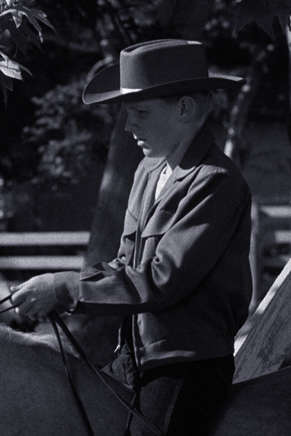 The Secret Ride Pictures | Rotten Tomatoes