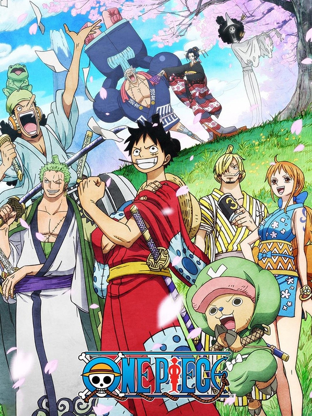 One Piece: Season 15, Episode 25 - Rotten Tomatoes