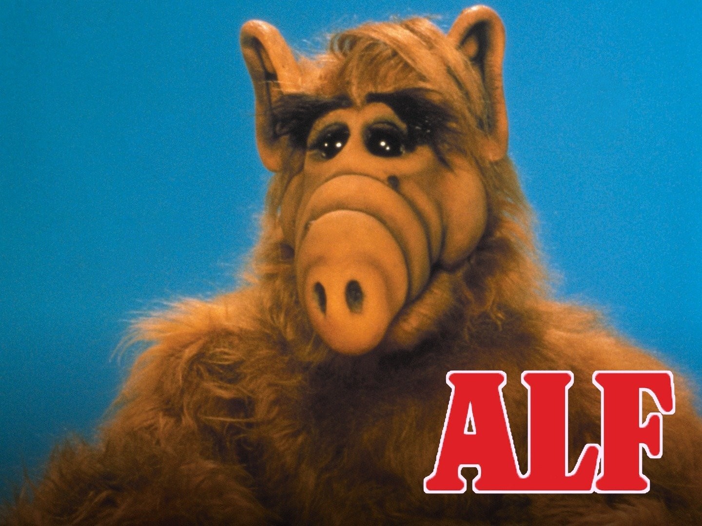 ALF (série de televisão) – Wikipédia, a enciclopédia livre