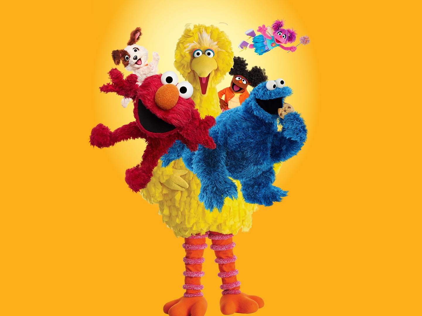 Sesame Street  Rotten Tomatoes