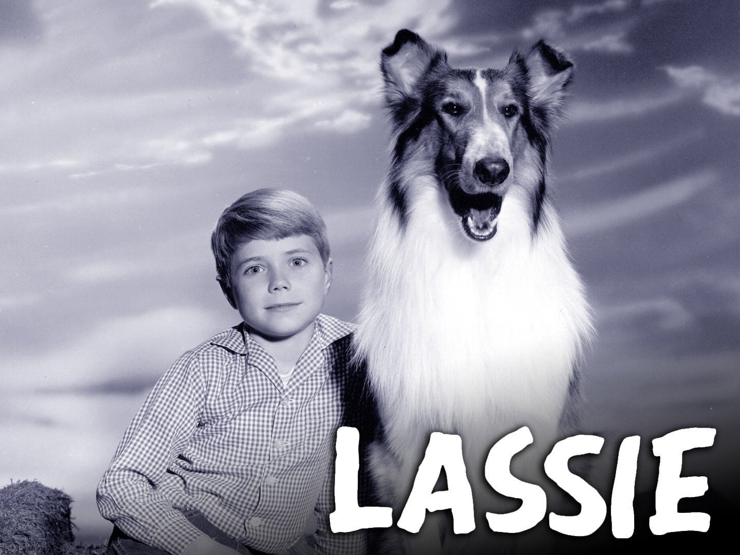 THE STORY OF LASSIE (BIO 2016) – Rewatch Classic TV