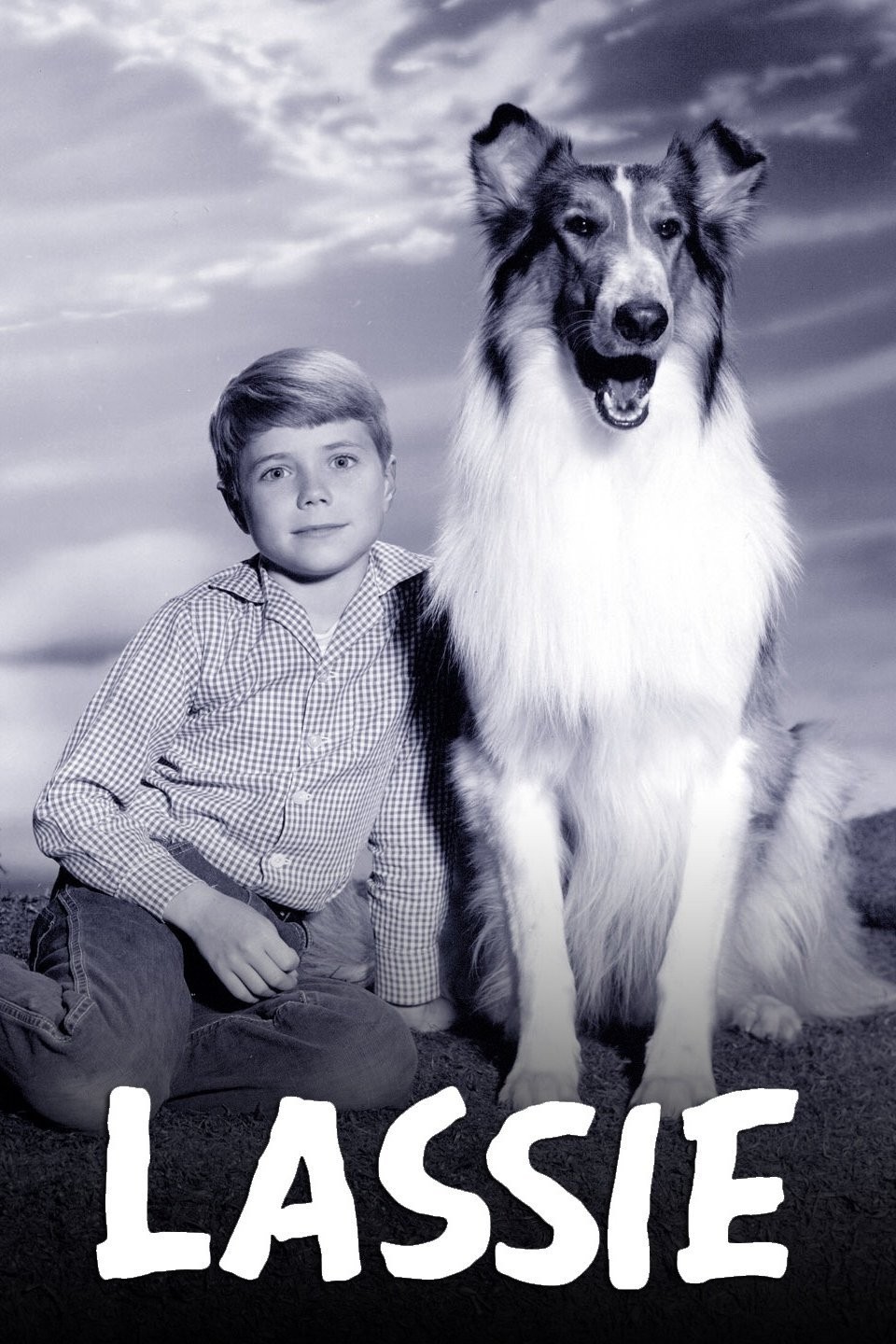 Lassie Season 4 | Rotten Tomatoes