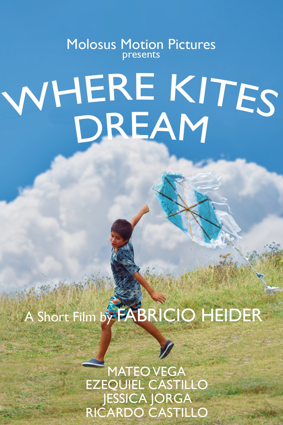 Where Kites Dream Pictures Rotten Tomatoes