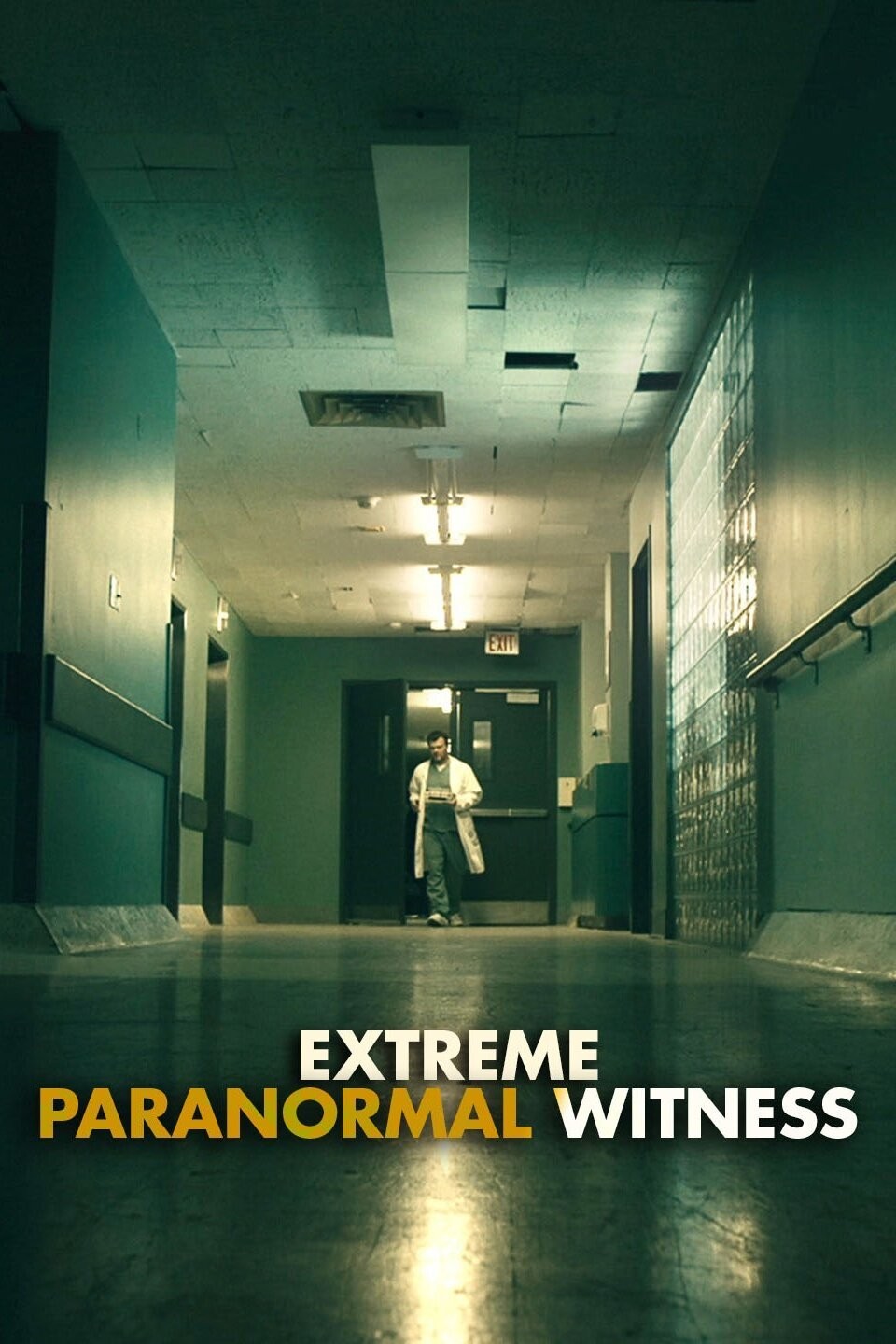 Paranormal witness online stream