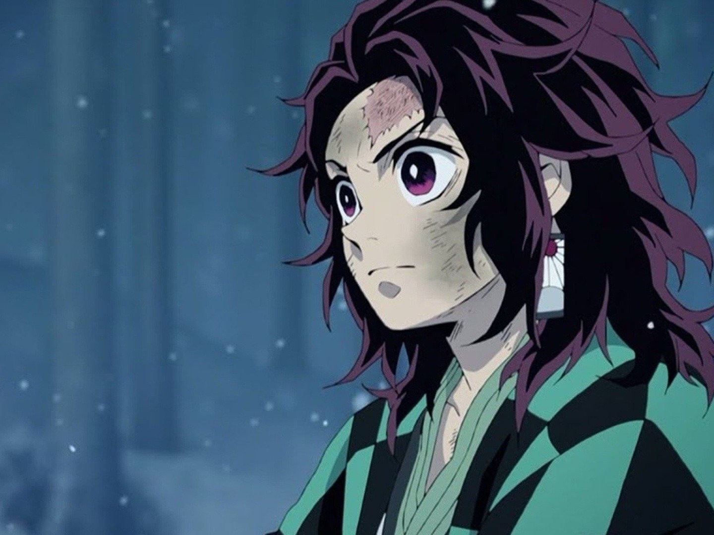 Kimetsu No Yaiba Kyodai No Kizuna - Rotten Tomatoes