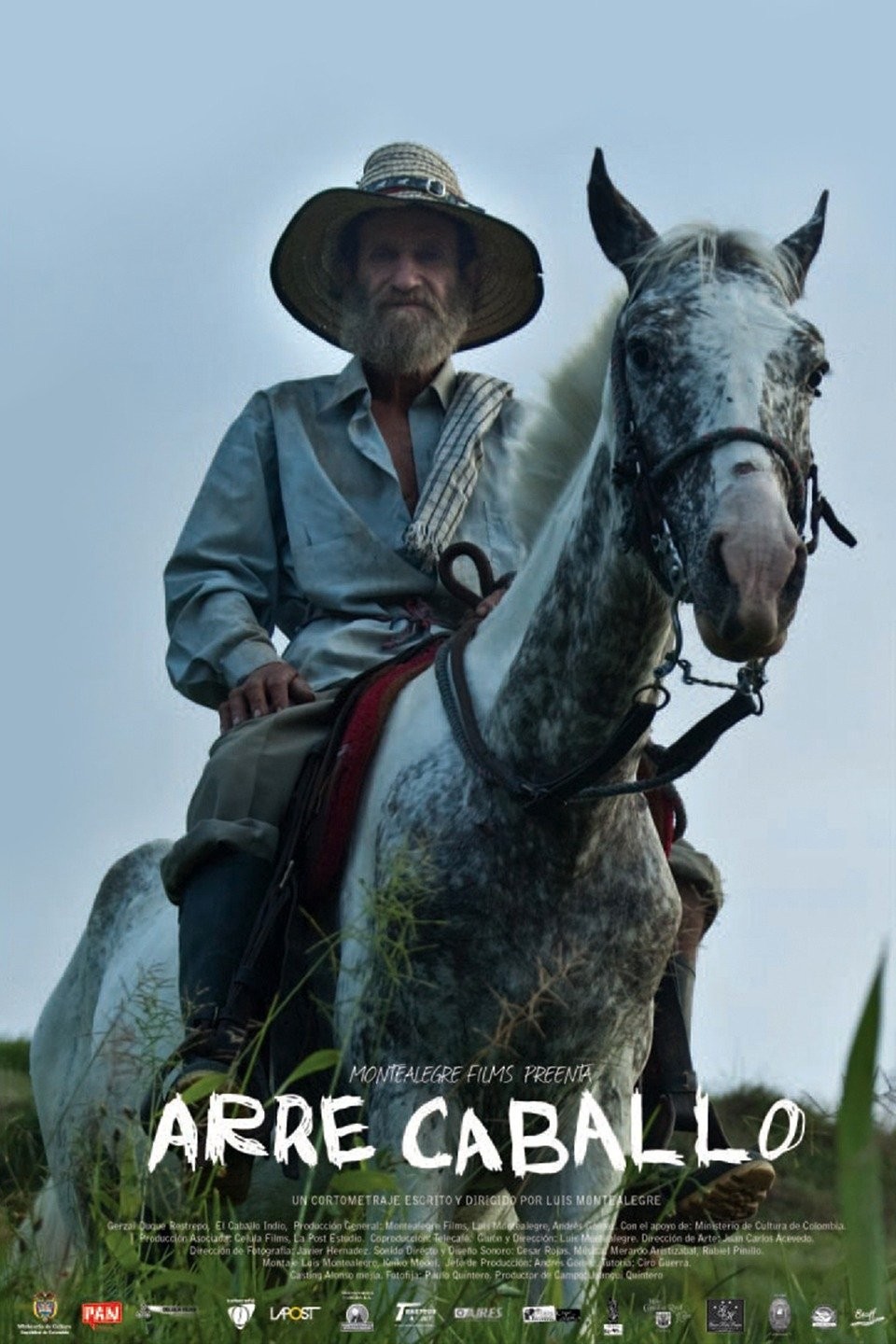 Arre Caballo | Rotten Tomatoes