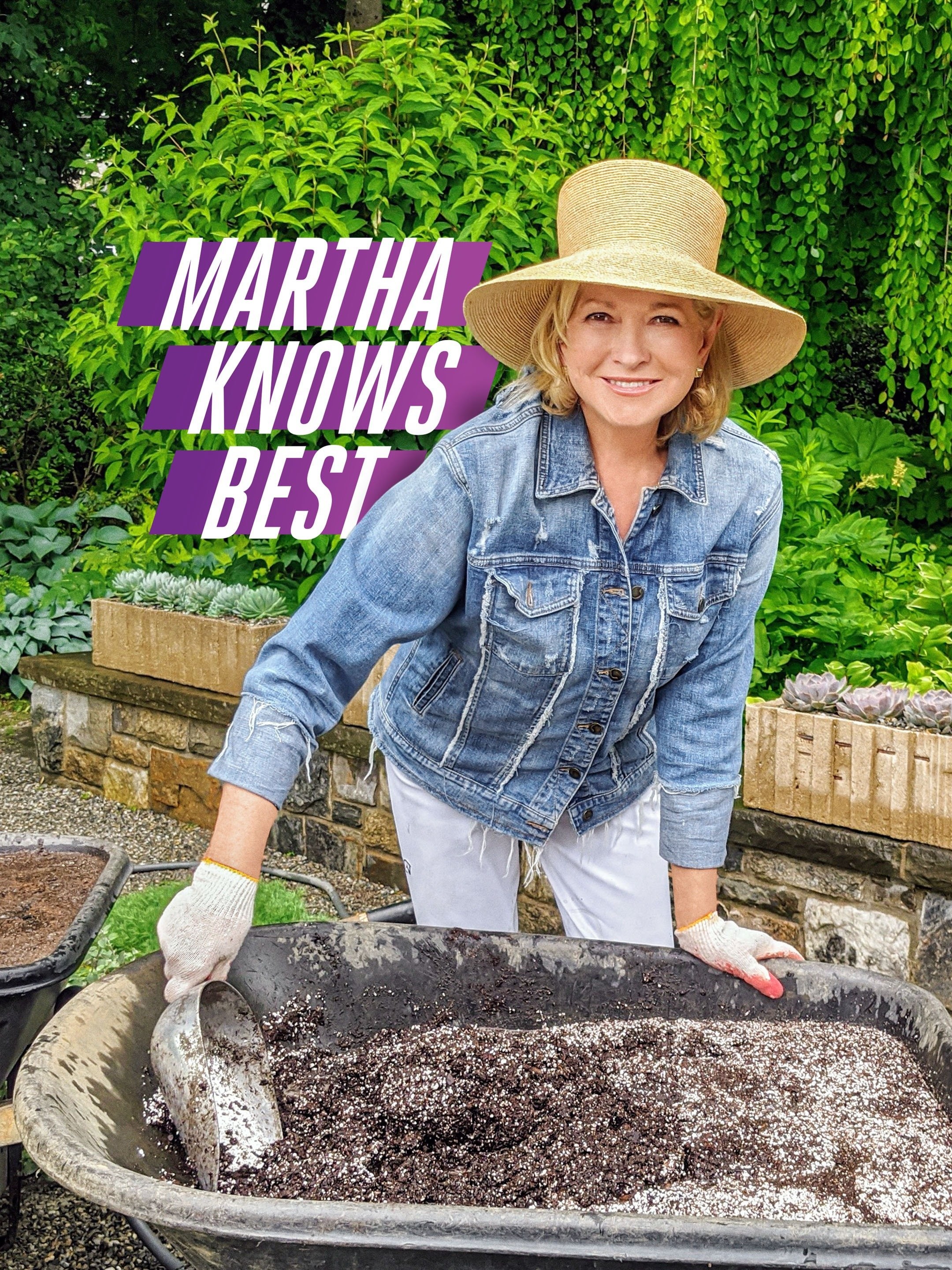Martha Knows Best | Rotten Tomatoes