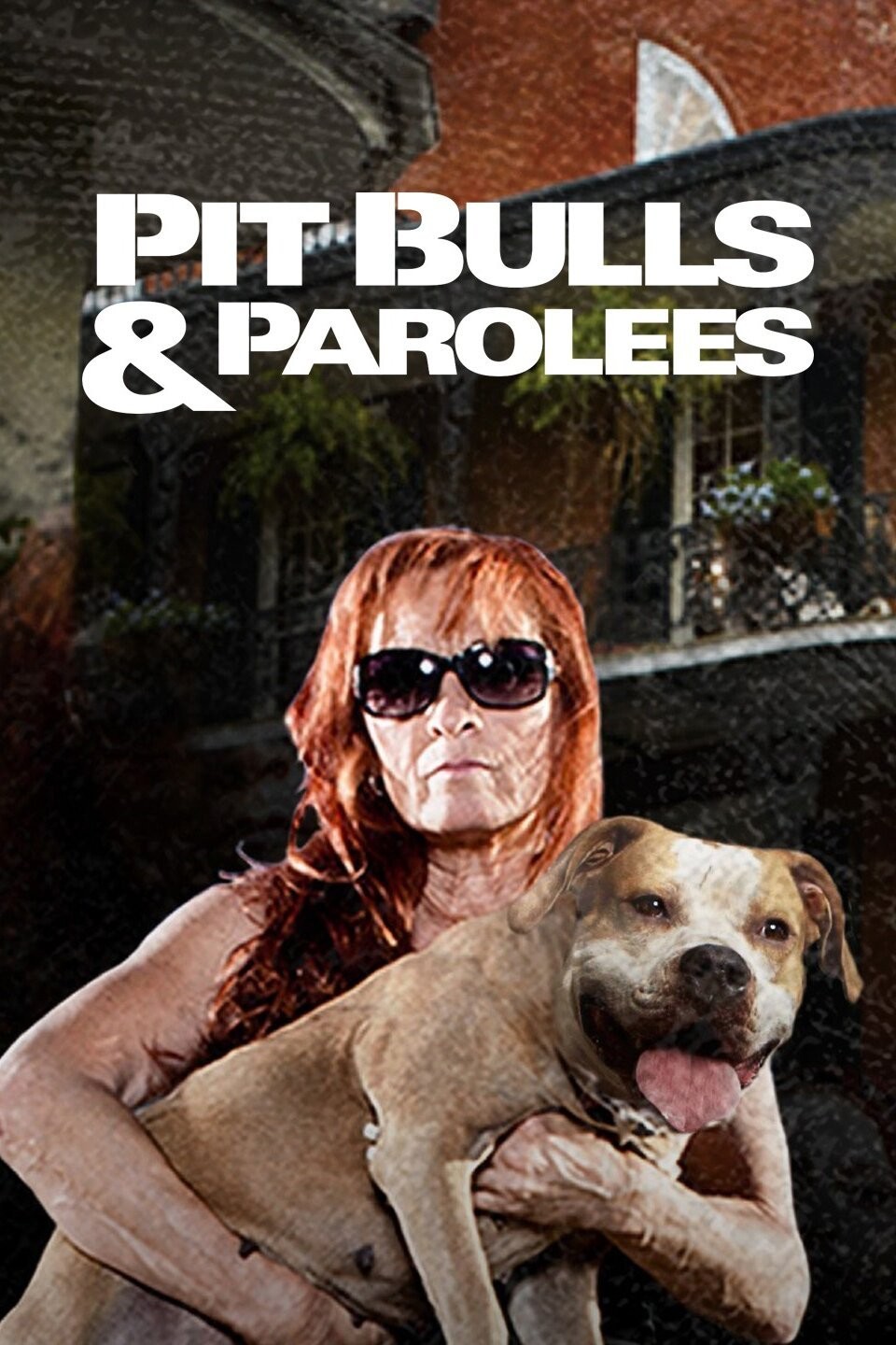 Pit Bulls and Parolees Season 15 | Rotten Tomatoes