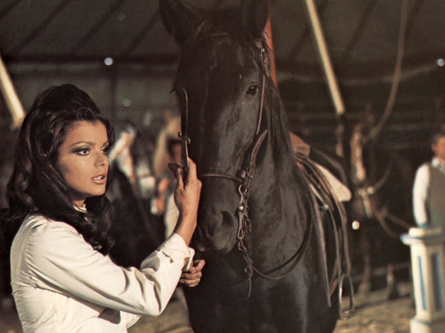 Black Beauty (1971 film) - Wikipedia