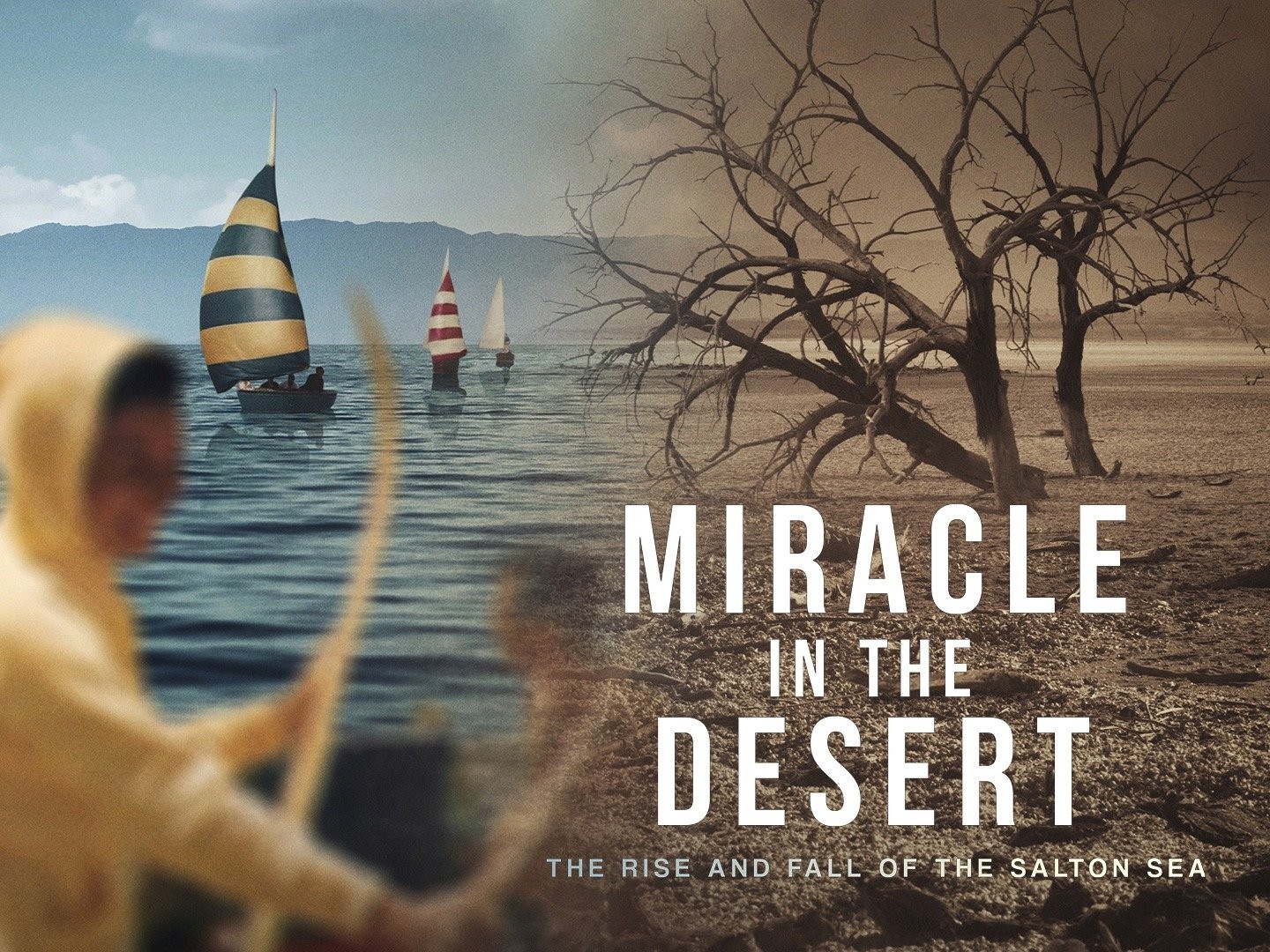 Miracle in the Desert: The Rise and Fall of the Salton Sea