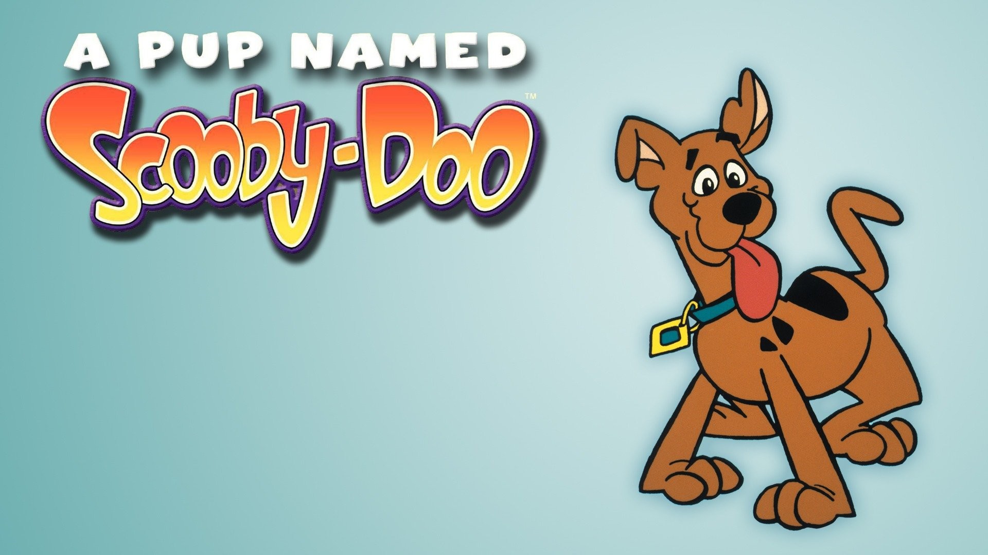 a pup named scooby doo wallpaper
