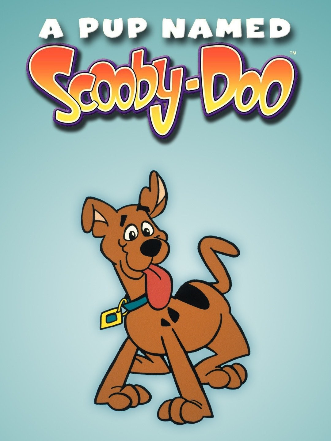 A pup named scooby doo