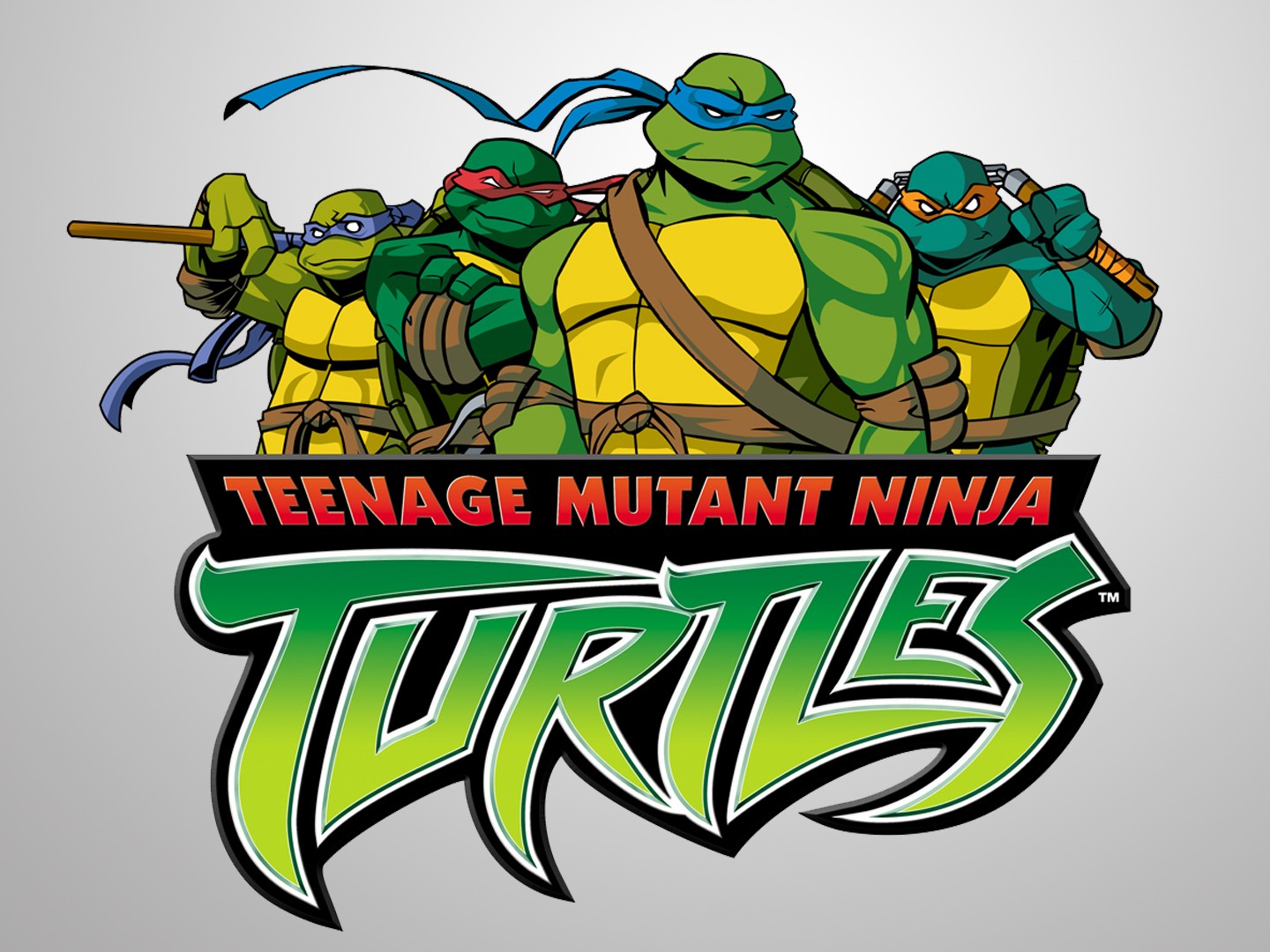 Teenage Mutant Ninja Turtles (2003) Review