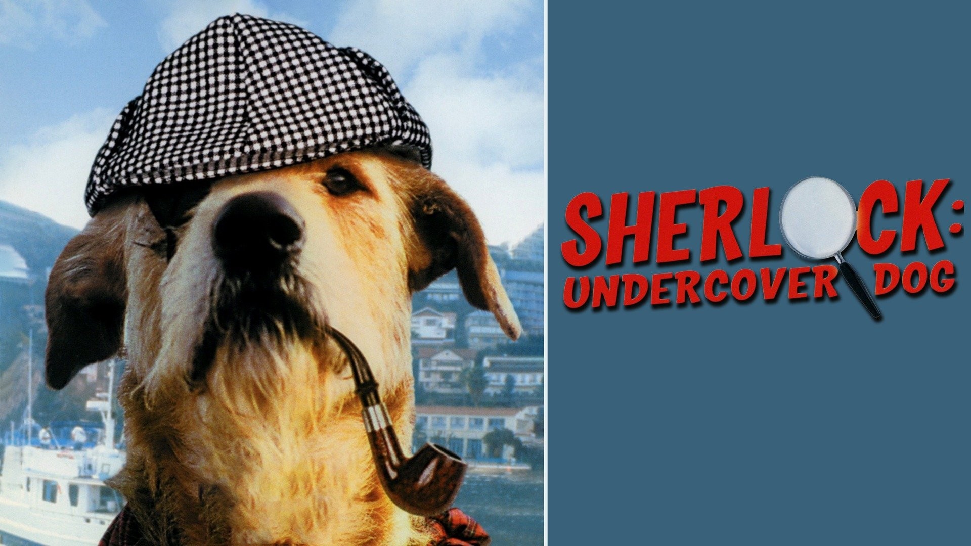 BarkBox Unboxing: March 2016 Sherlock Bones - The Broke Dog