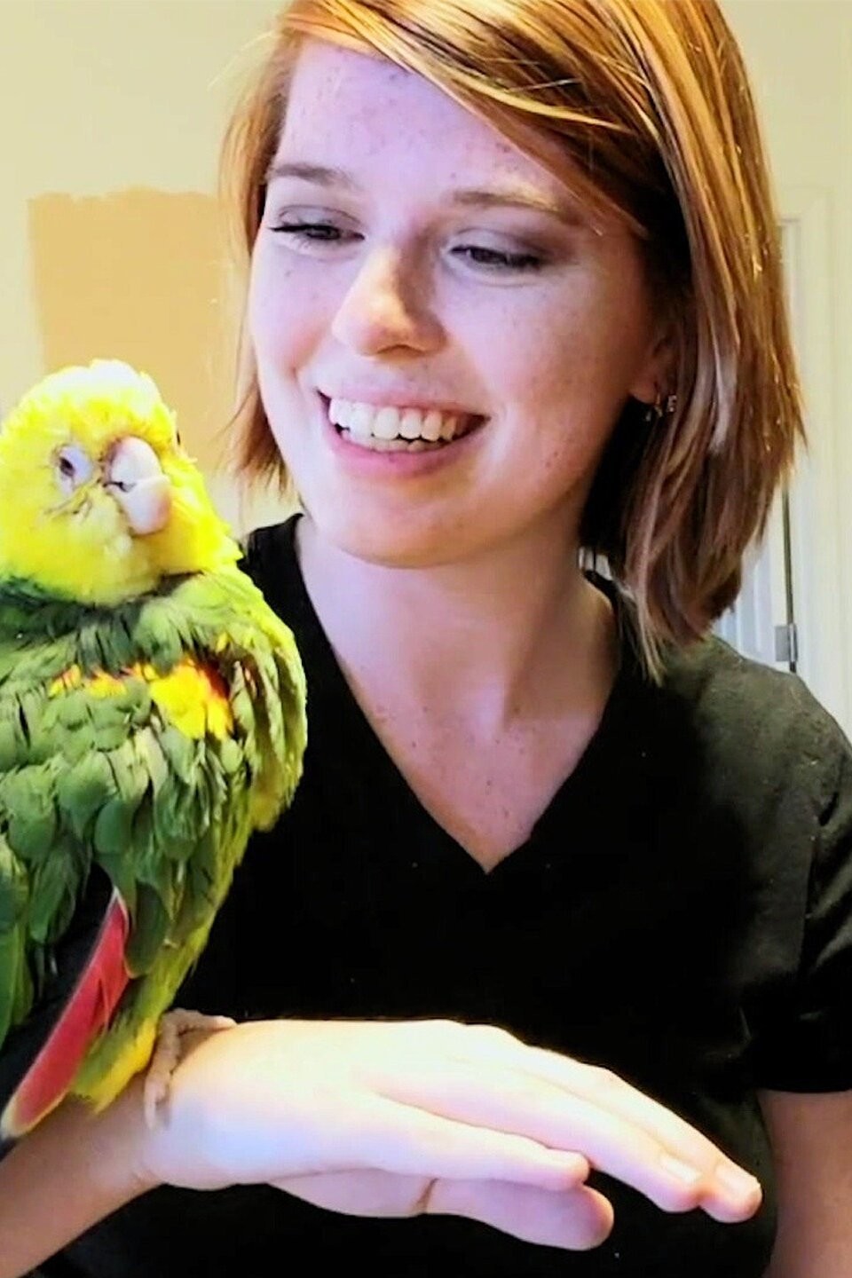 Woman Flies Across the Country to Adopt a Bird She's Never Met Pictures ...