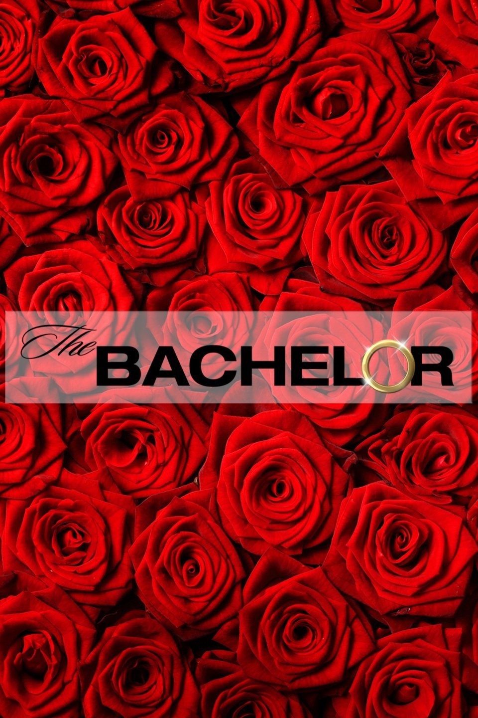 bachelor season 12