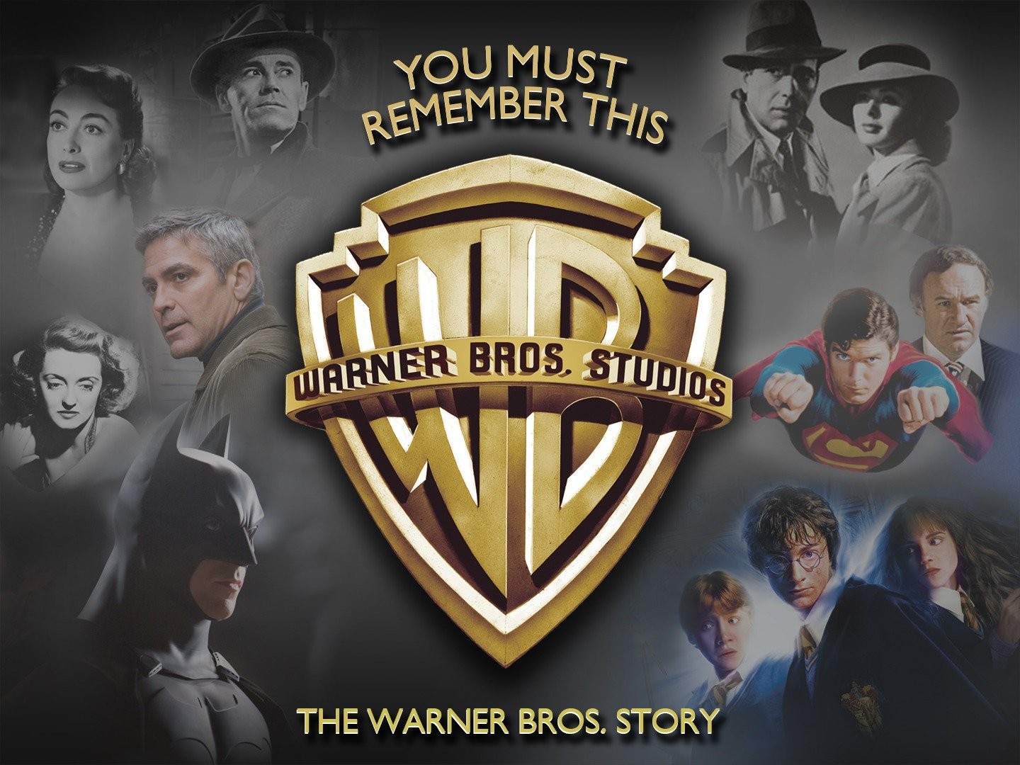 You Must Remember This: The Warner Bros. Story: : Richard  Schickel: Movies & TV Shows