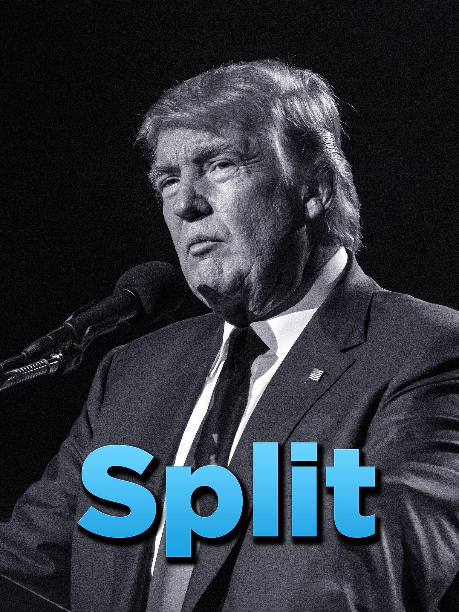 Split Rotten Tomatoes