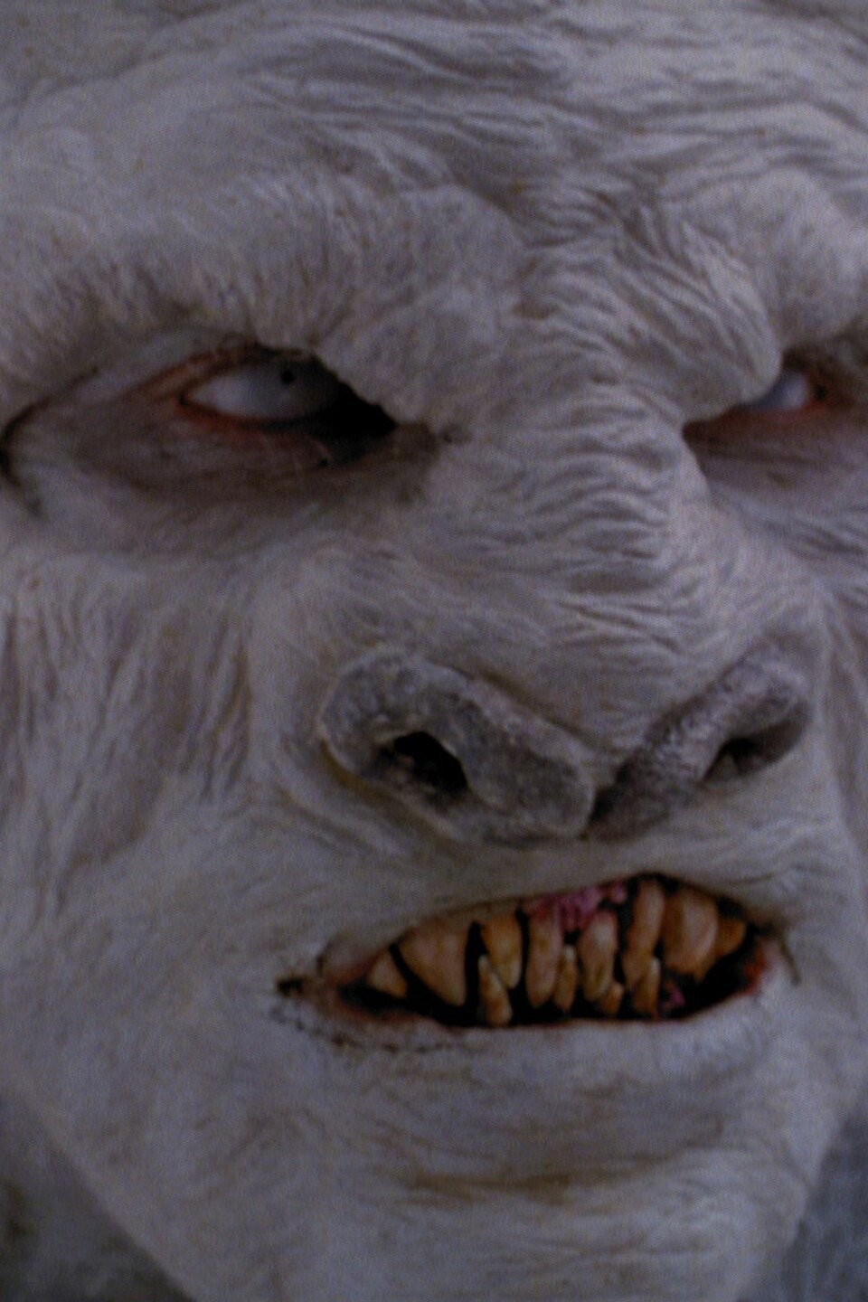 A Yeti Stole Christmas - Rotten Tomatoes